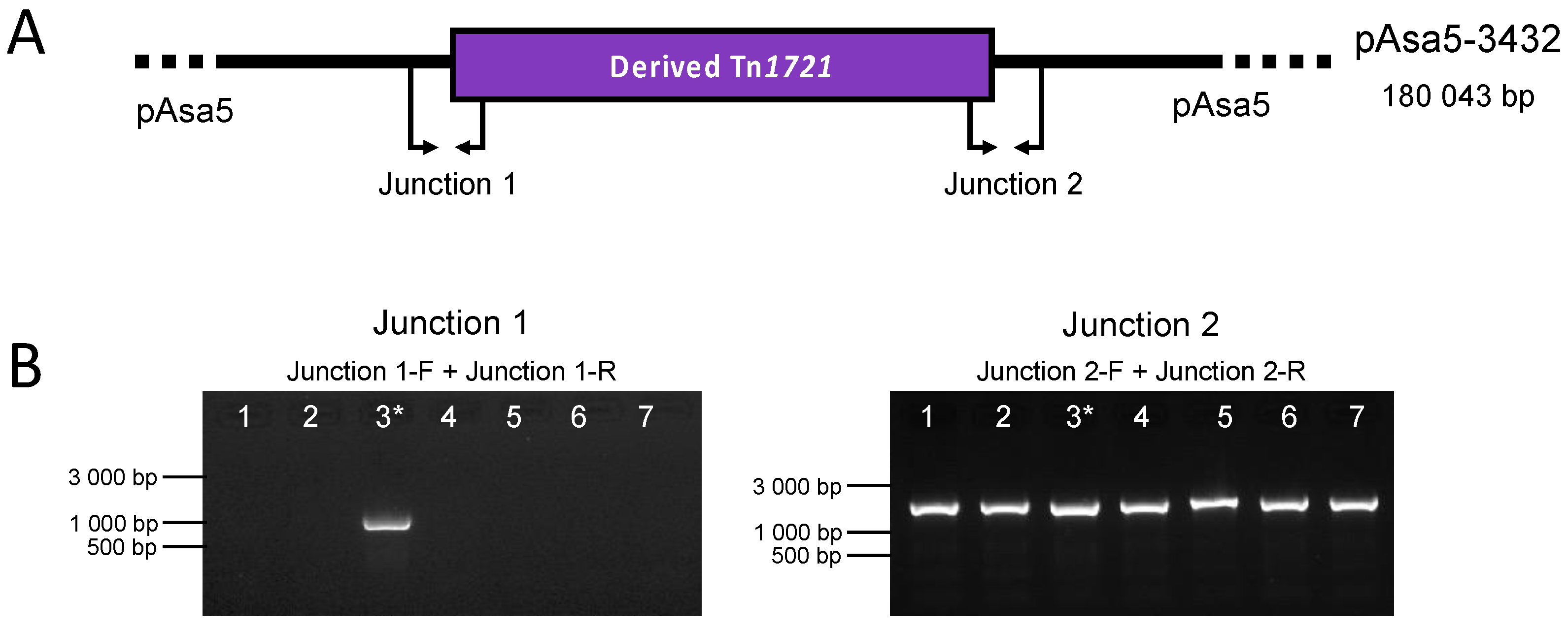 Microorganisms 11 02685 g002