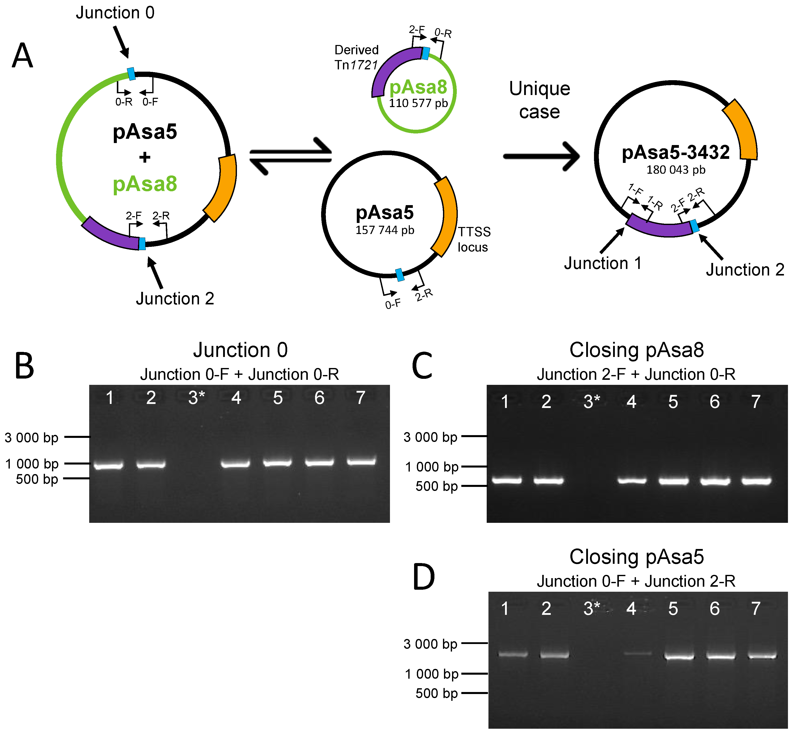 Microorganisms 11 02685 g003