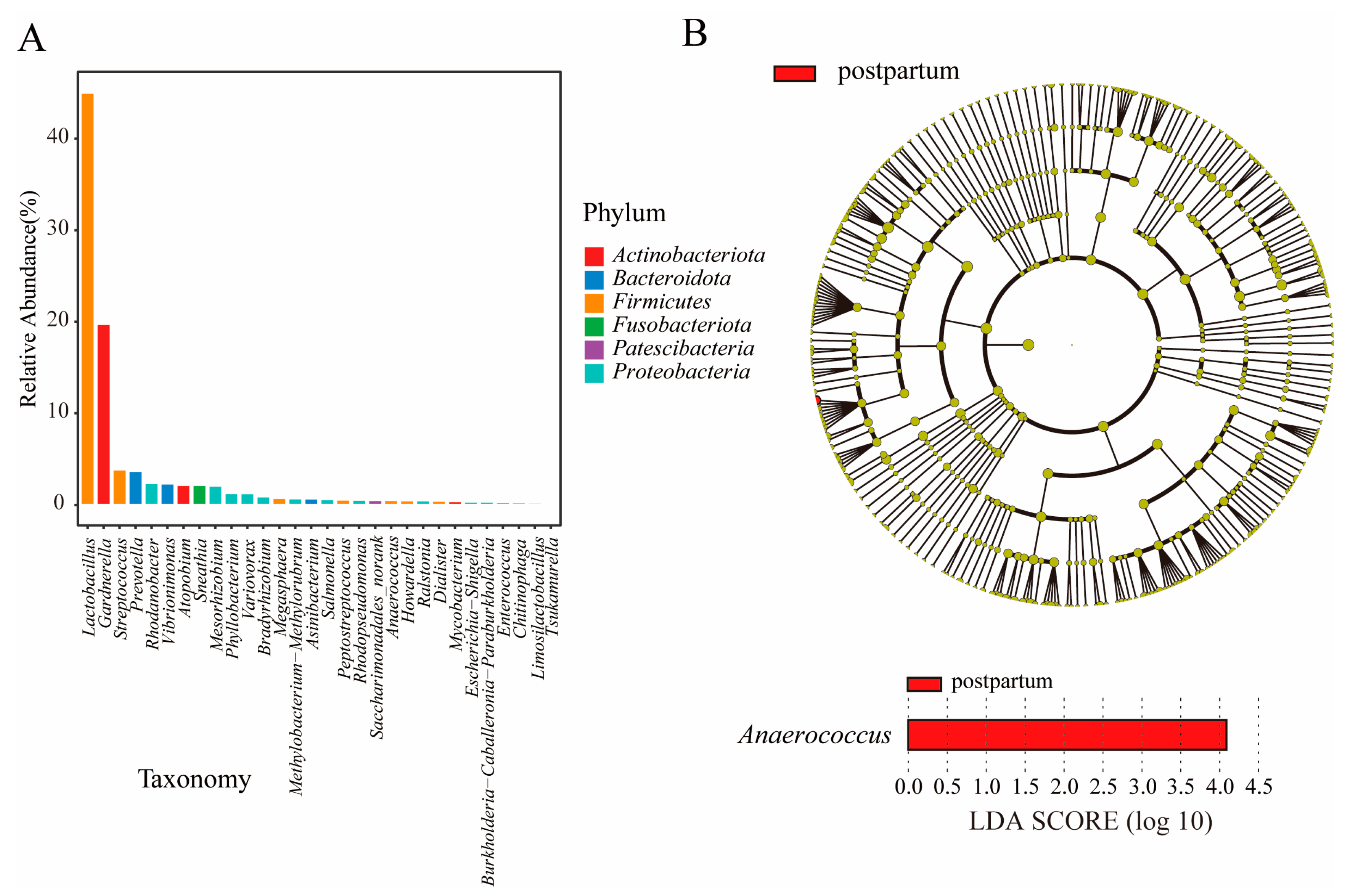 Microorganisms 11 02686 g006