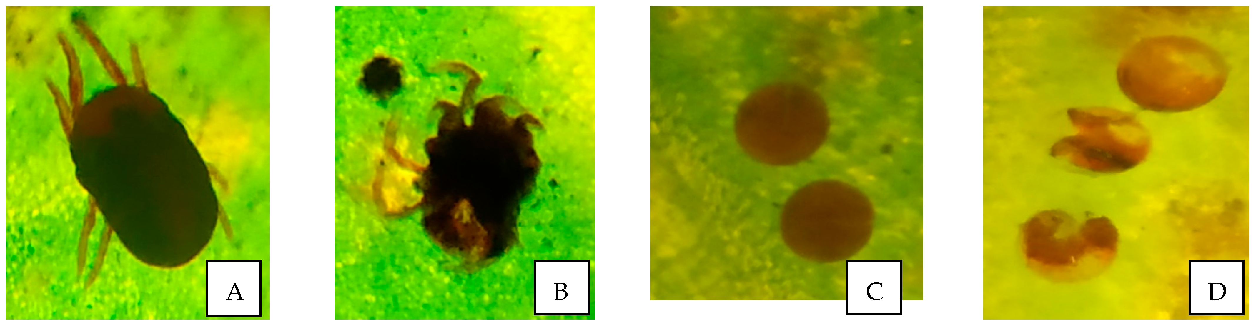 Microorganisms 11 02691 g003