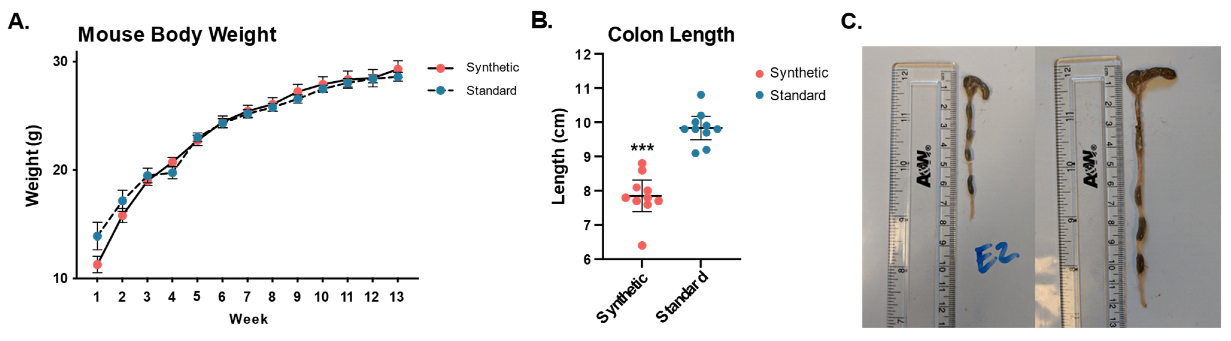 Microorganisms 11 02694 g005