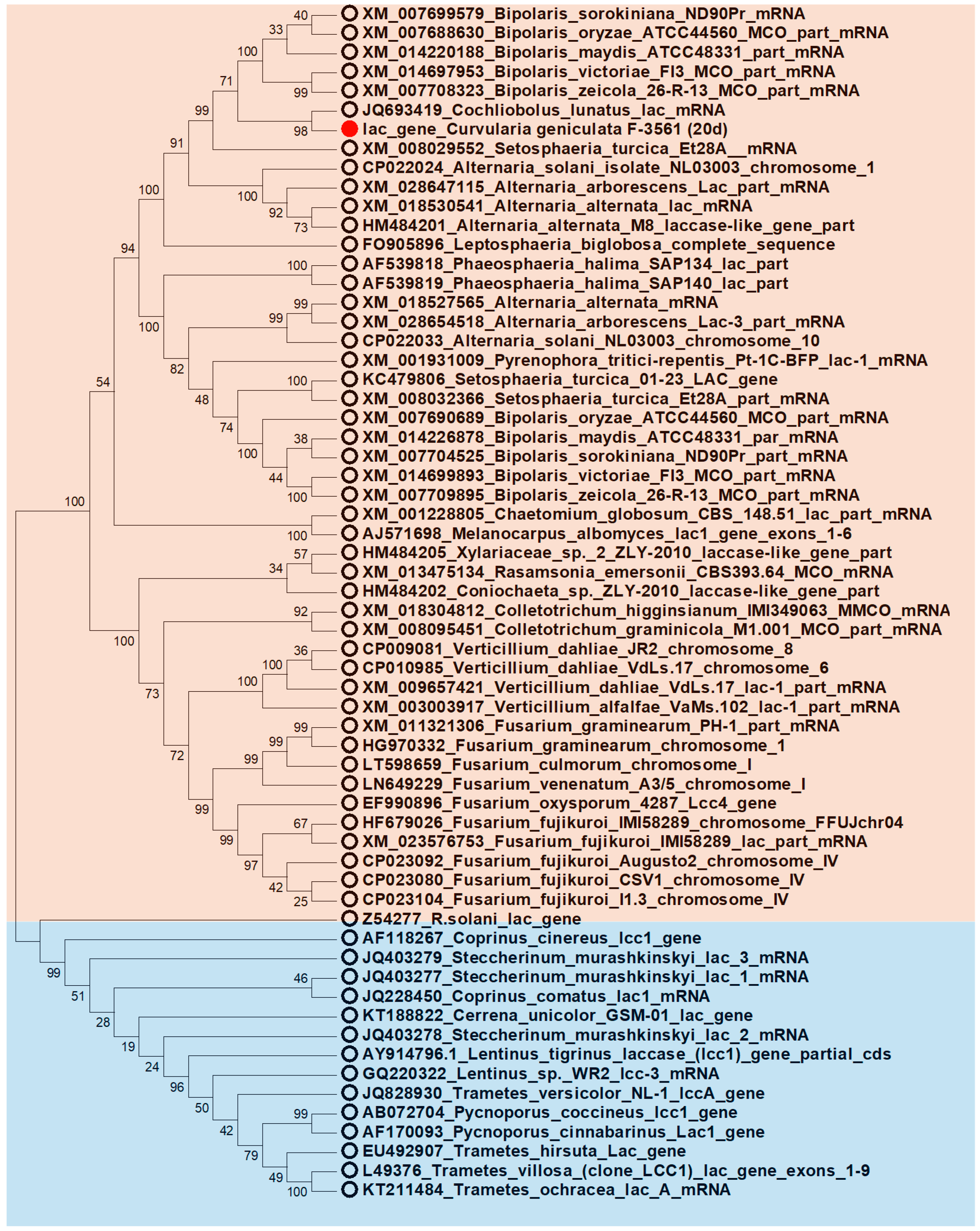 Microorganisms 11 02698 g004
