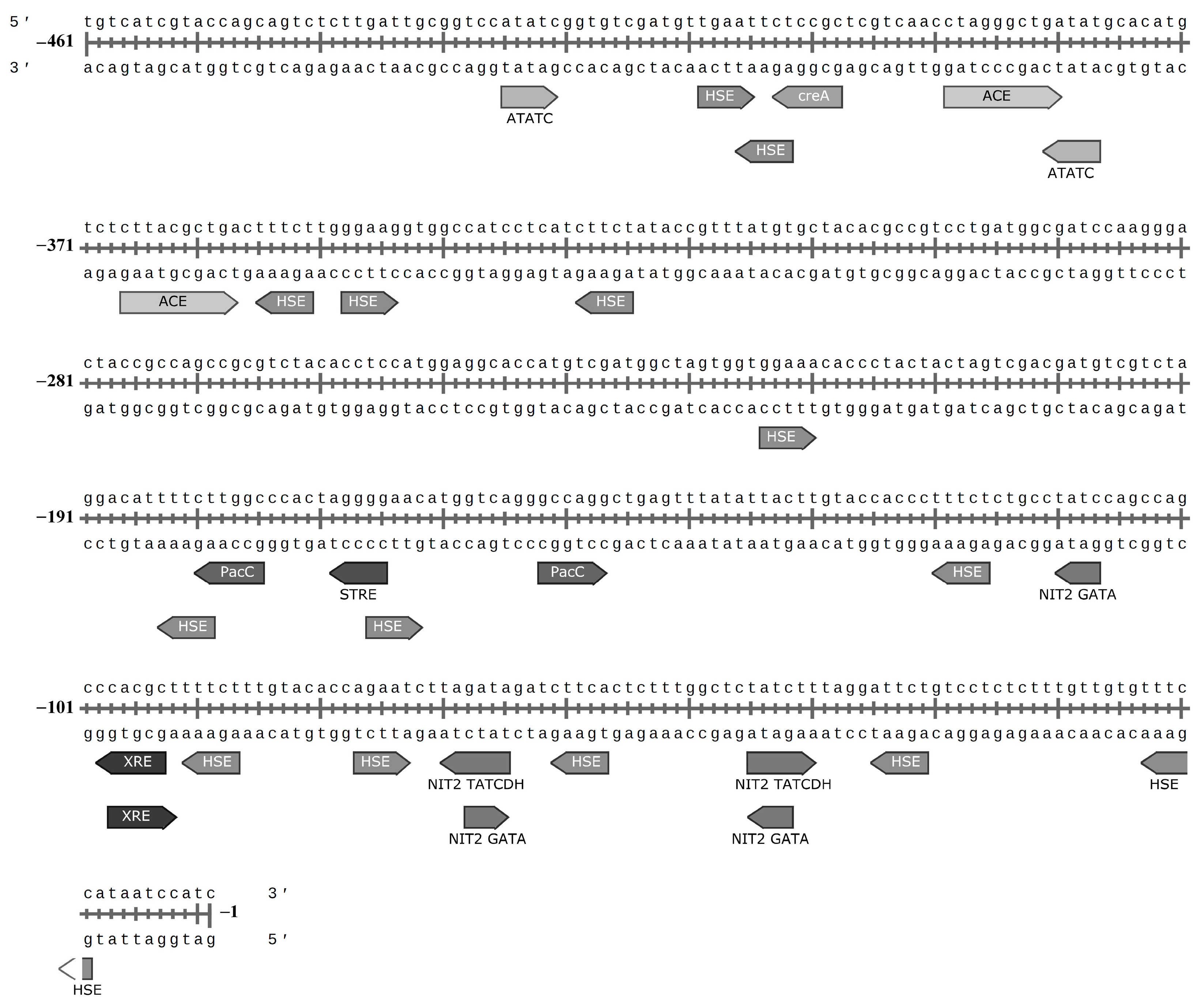 Microorganisms 11 02698 g006