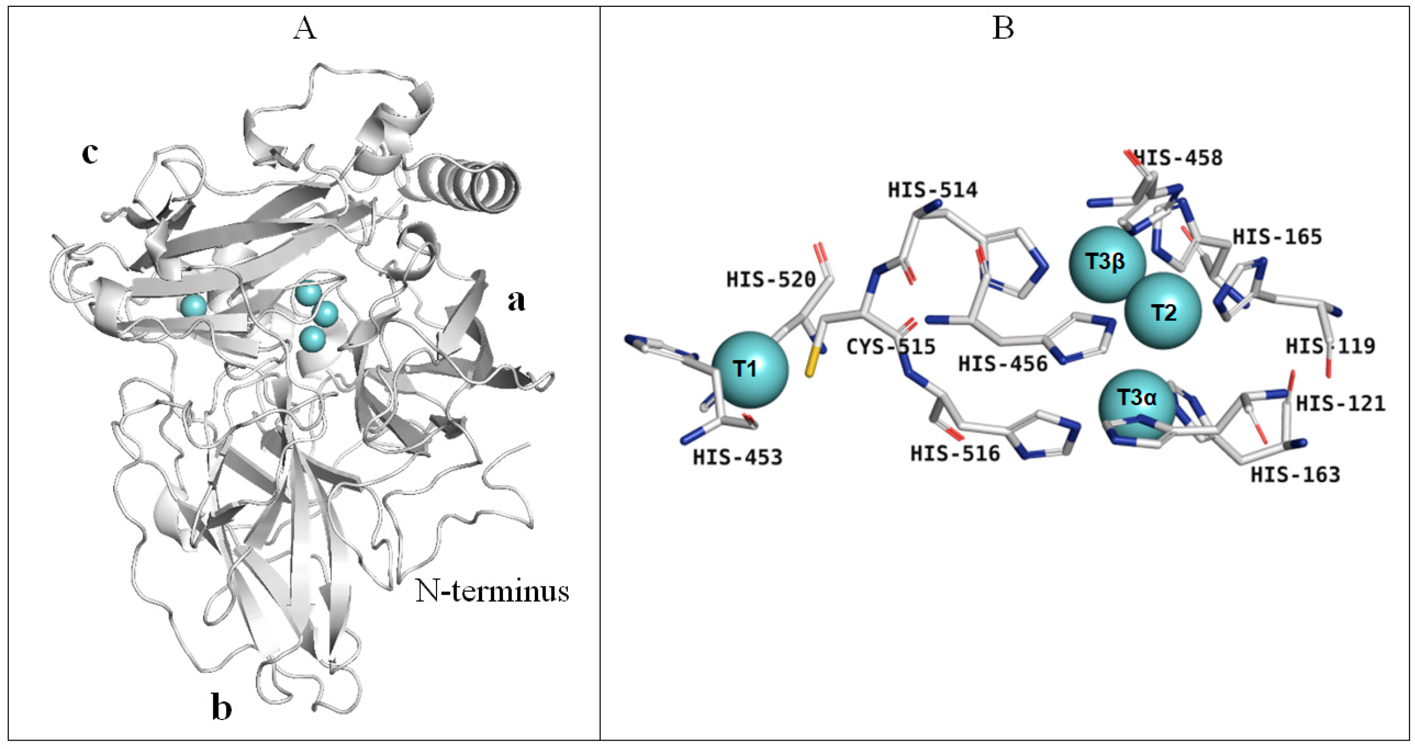 Microorganisms 11 02698 g007
