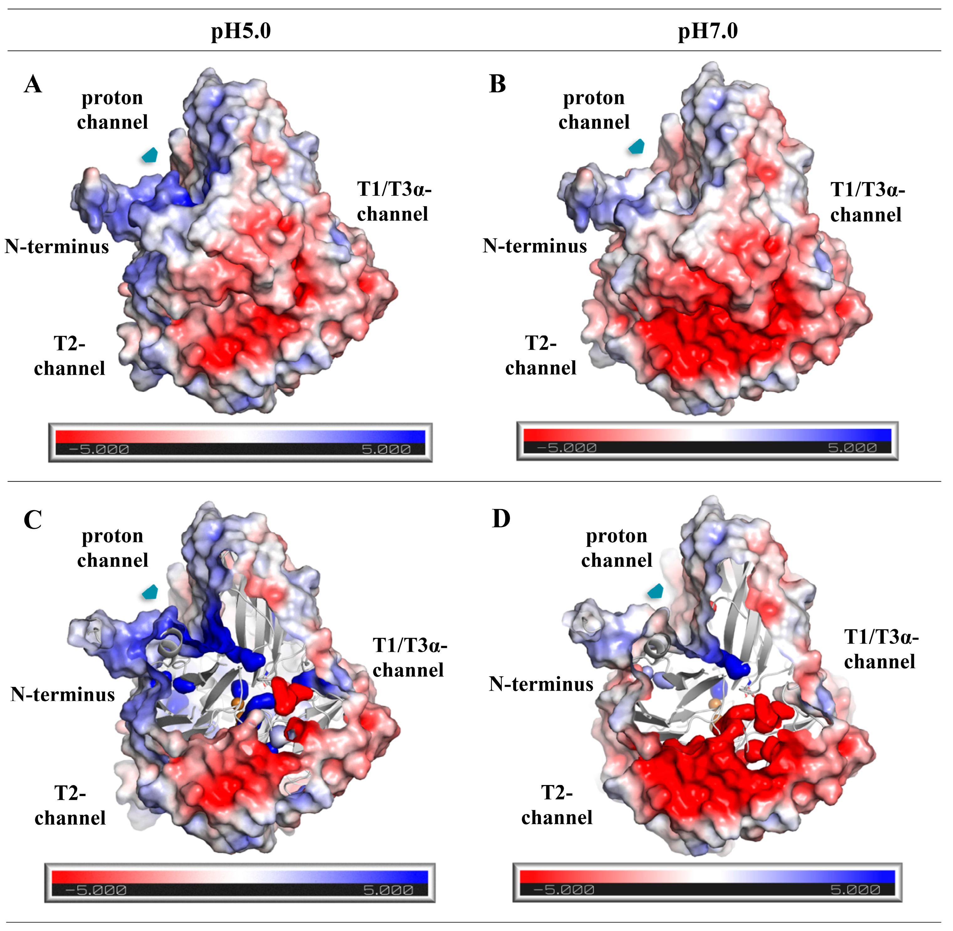 Microorganisms 11 02698 g010