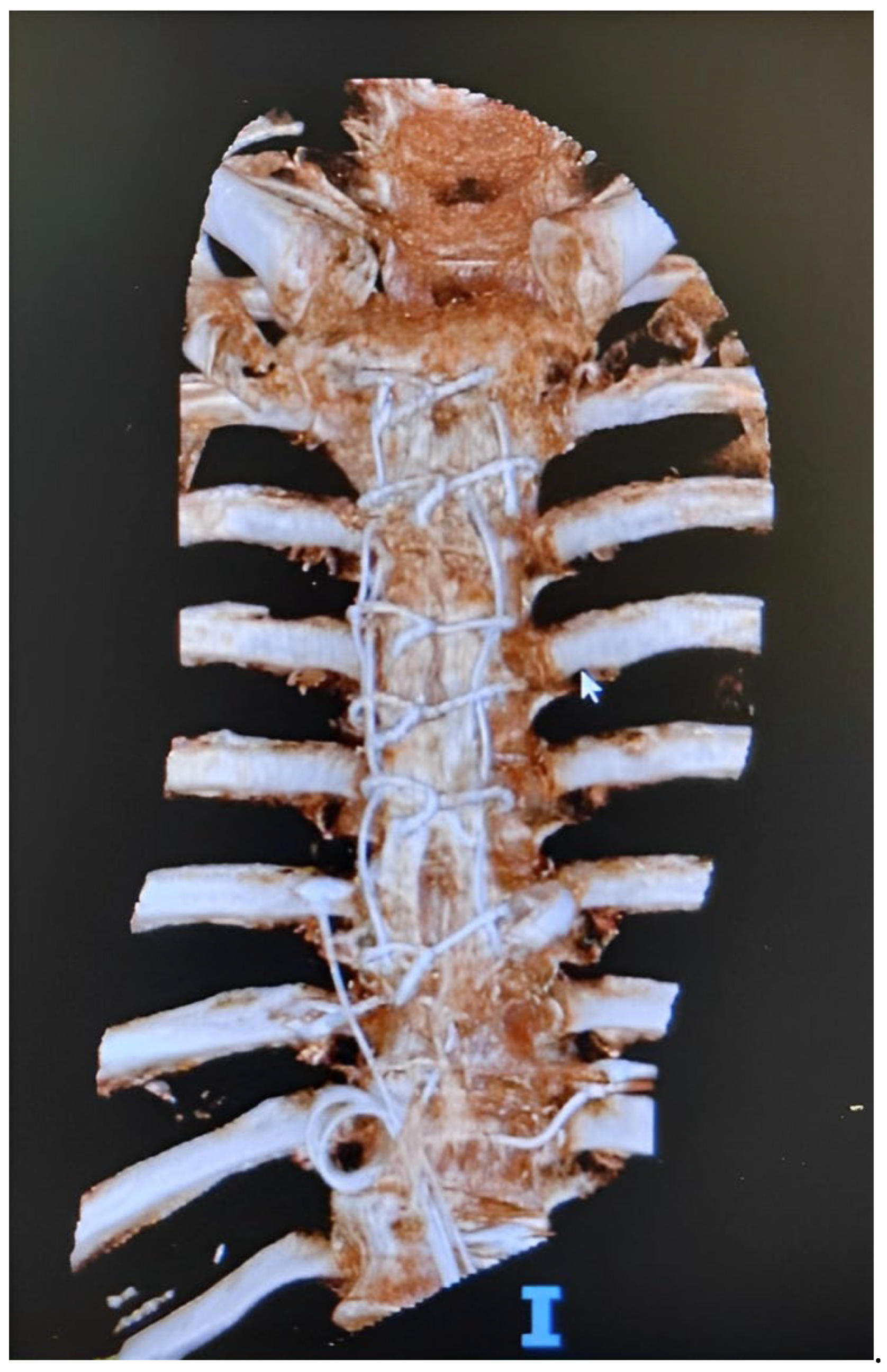 Microorganisms 11 02699 g001