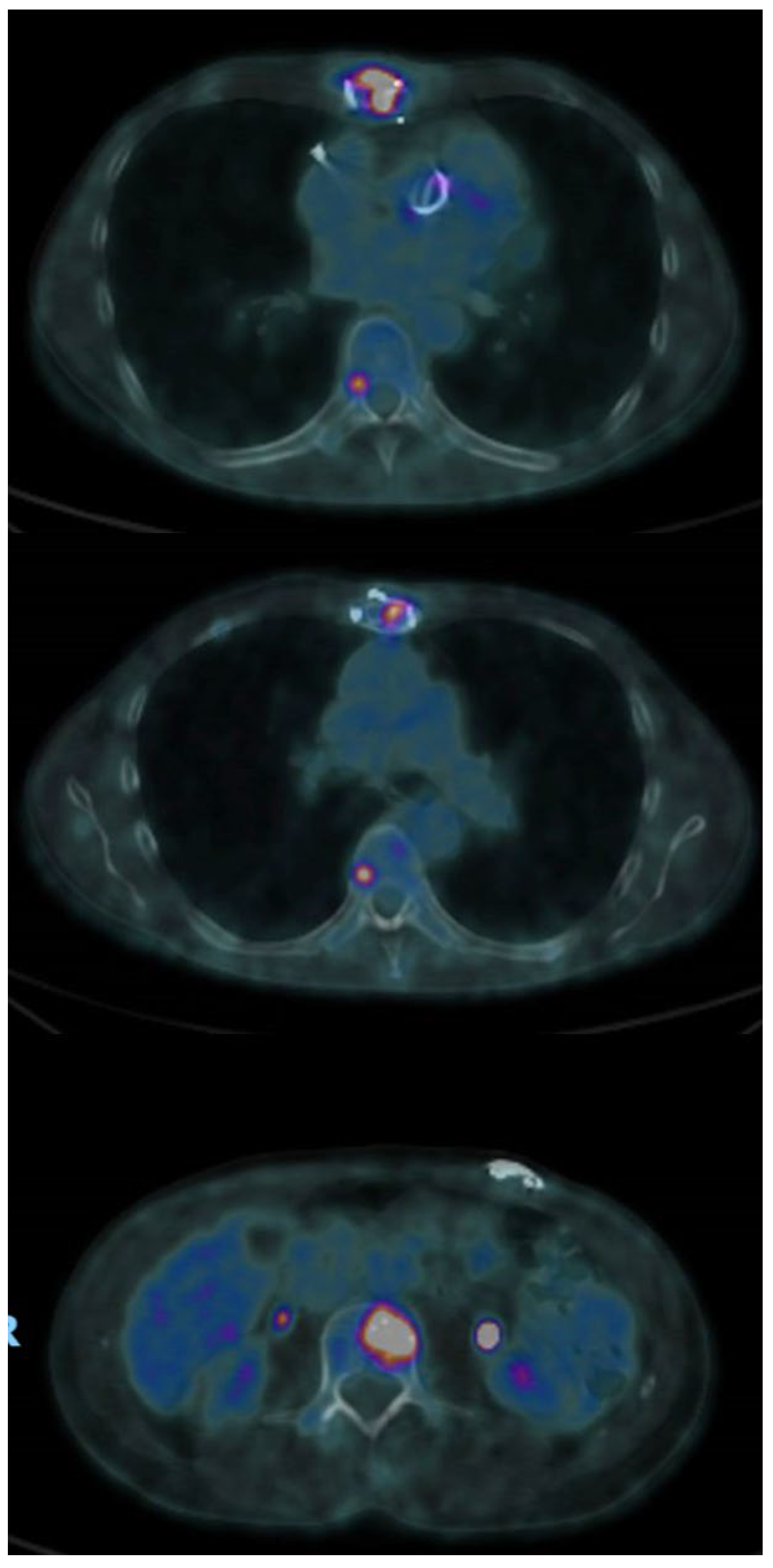 Microorganisms 11 02699 g004
