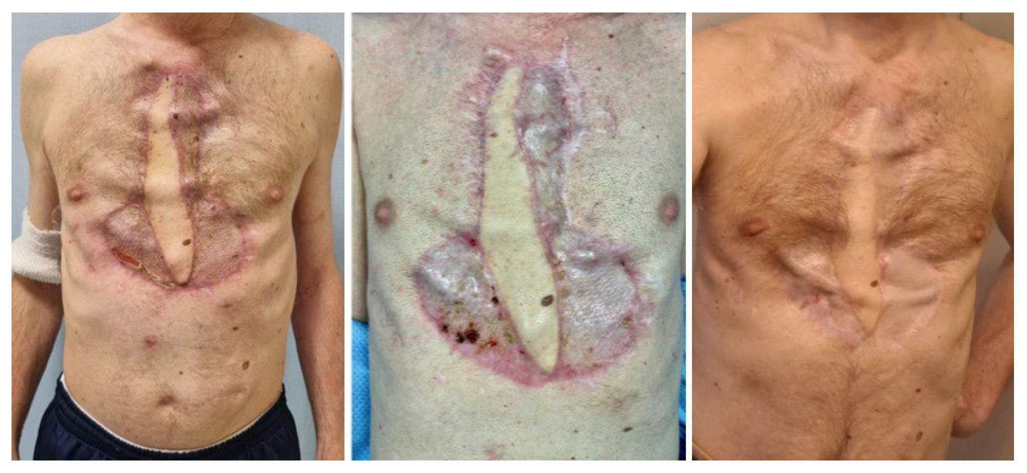 Microorganisms 11 02699 g007