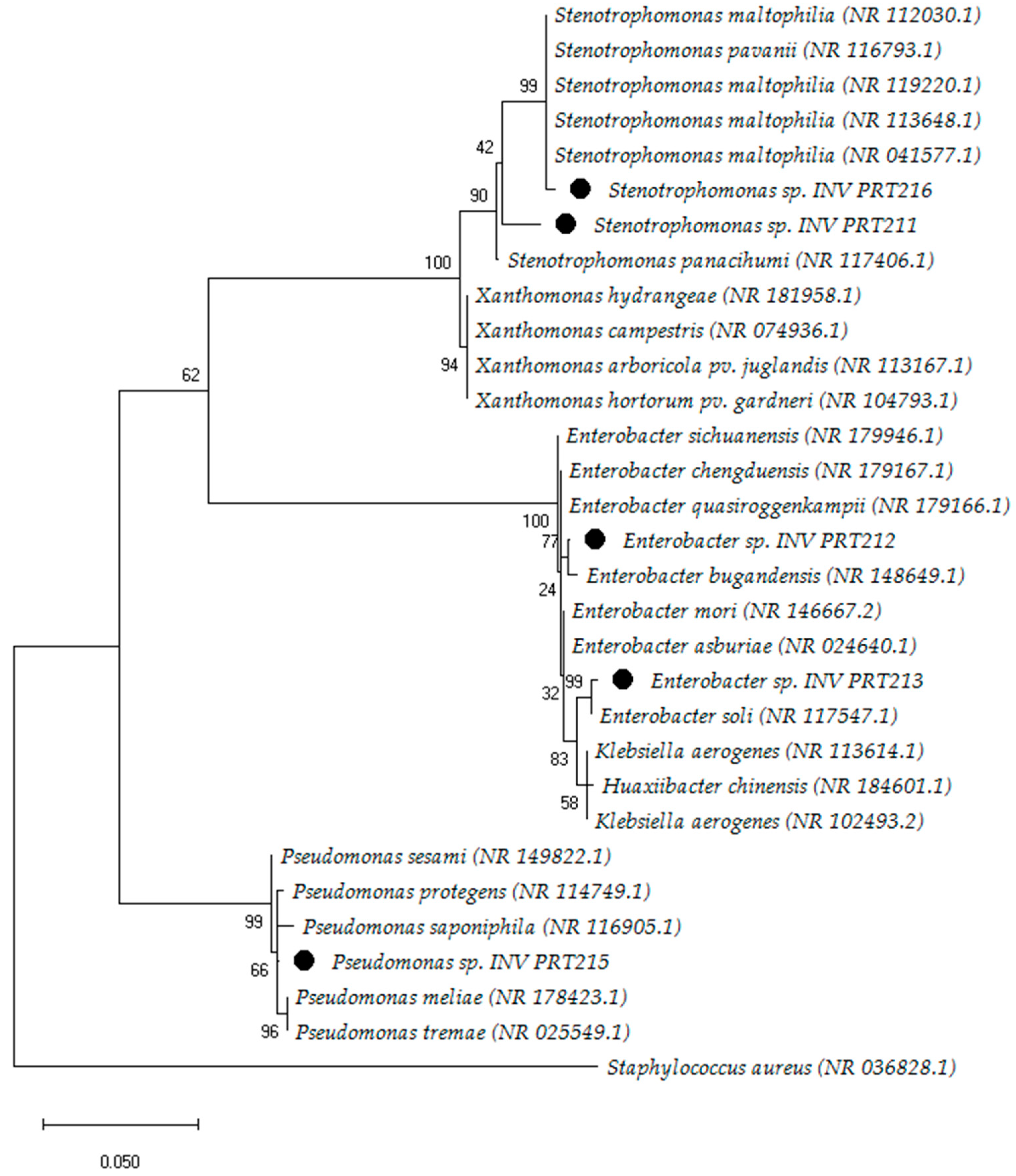 Microorganisms 11 02708 g004