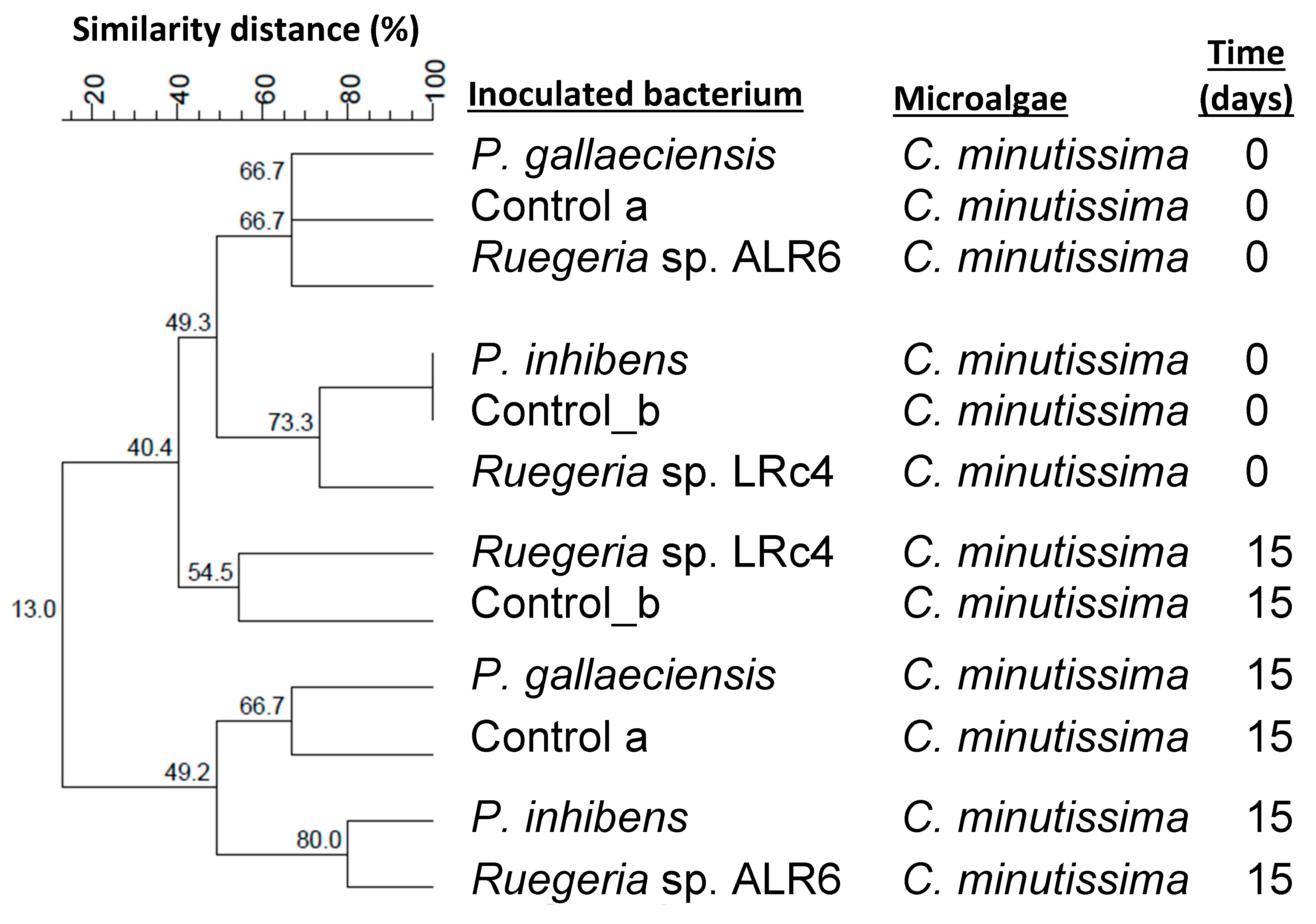 Microorganisms 11 02715 g003