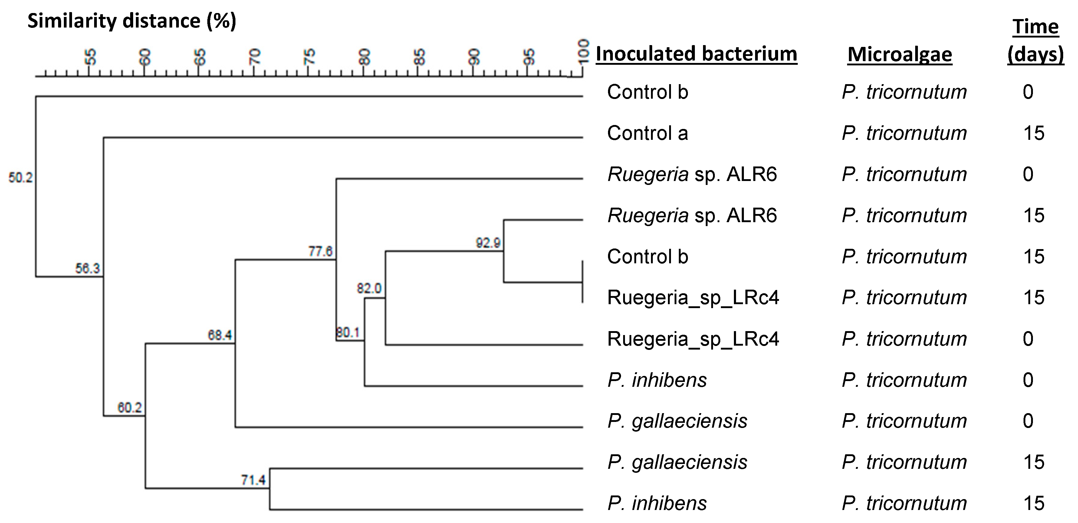 Microorganisms 11 02715 g004