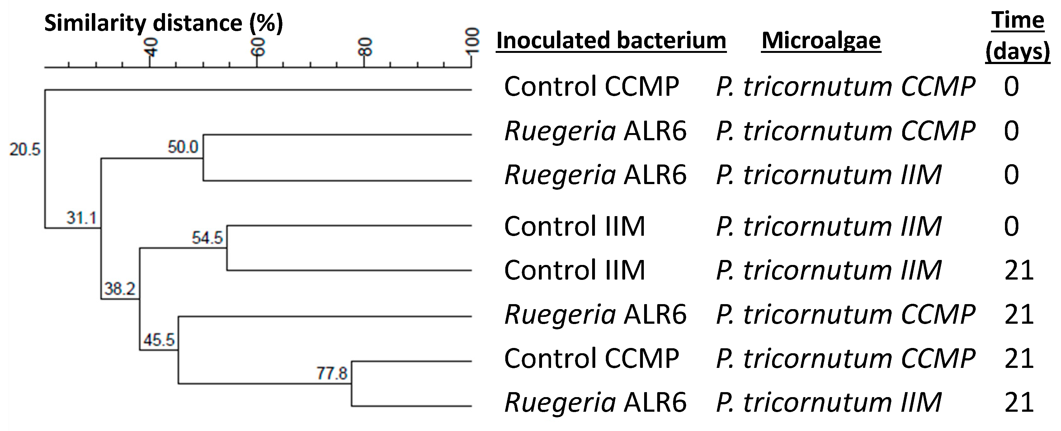 Microorganisms 11 02715 g006