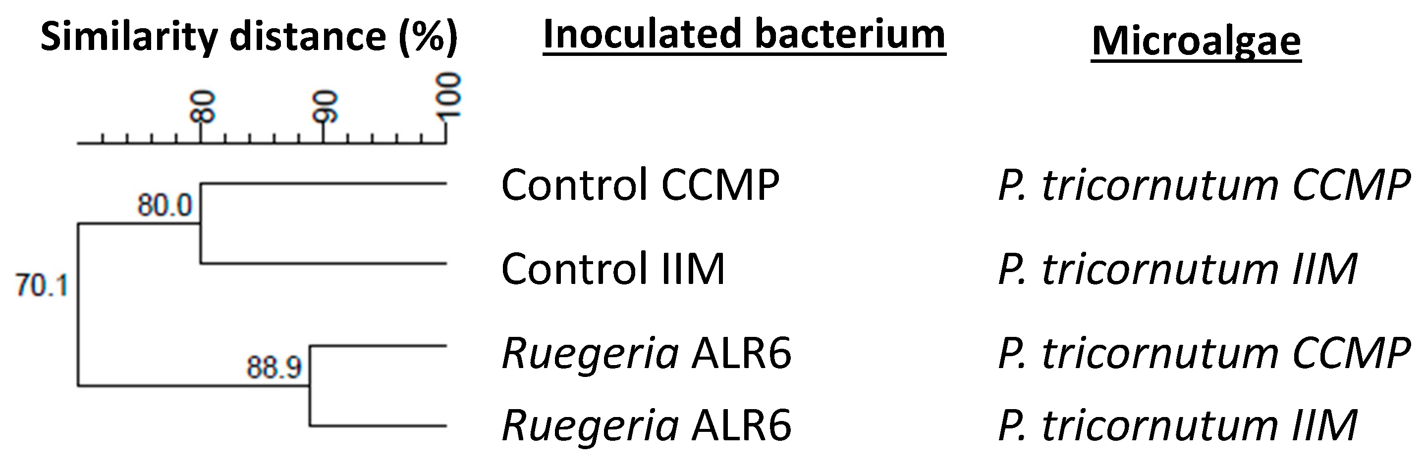 Microorganisms 11 02715 g008