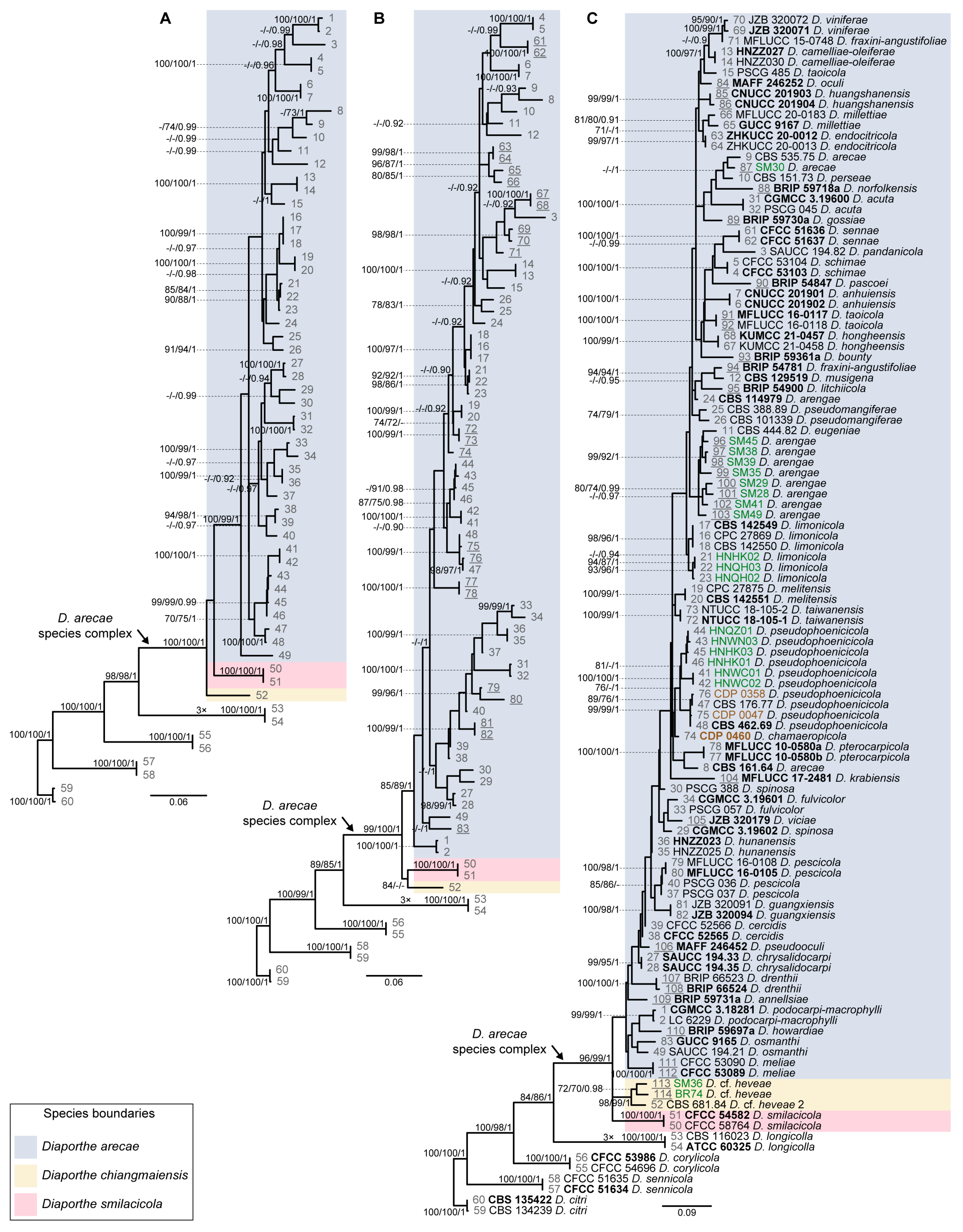 Microorganisms 11 02717 g002