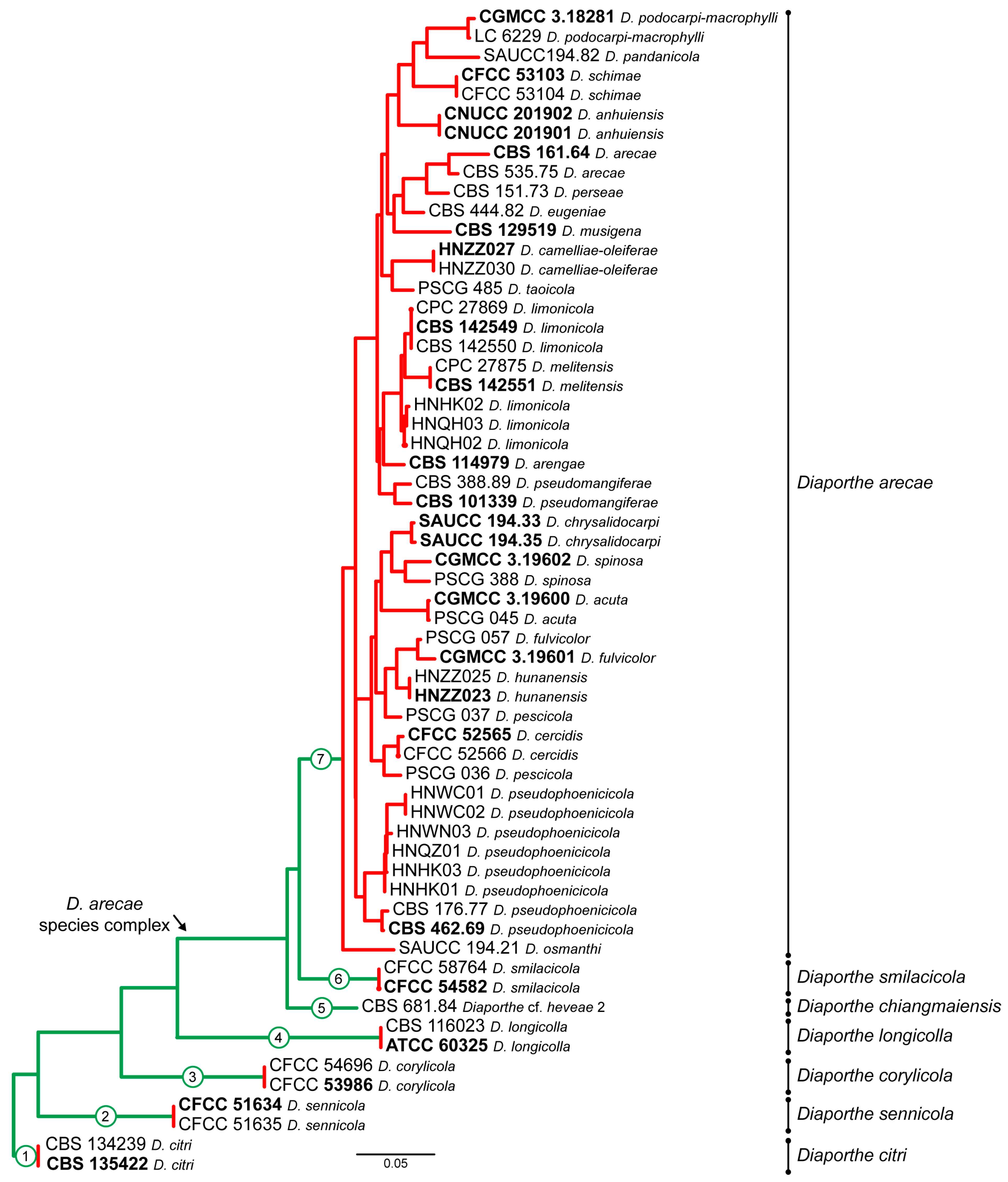 Microorganisms 11 02717 g005