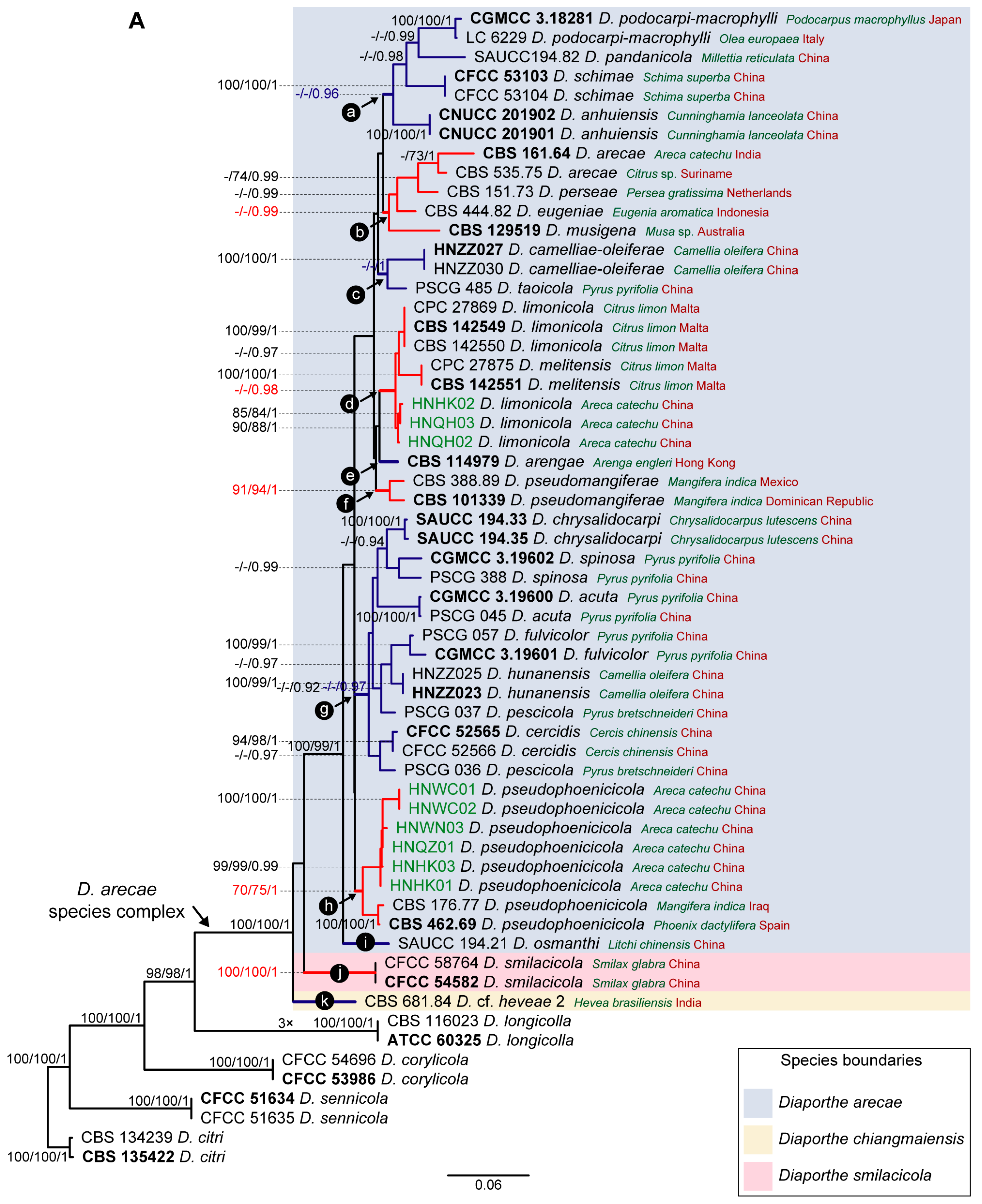 Microorganisms 11 02717 g006a