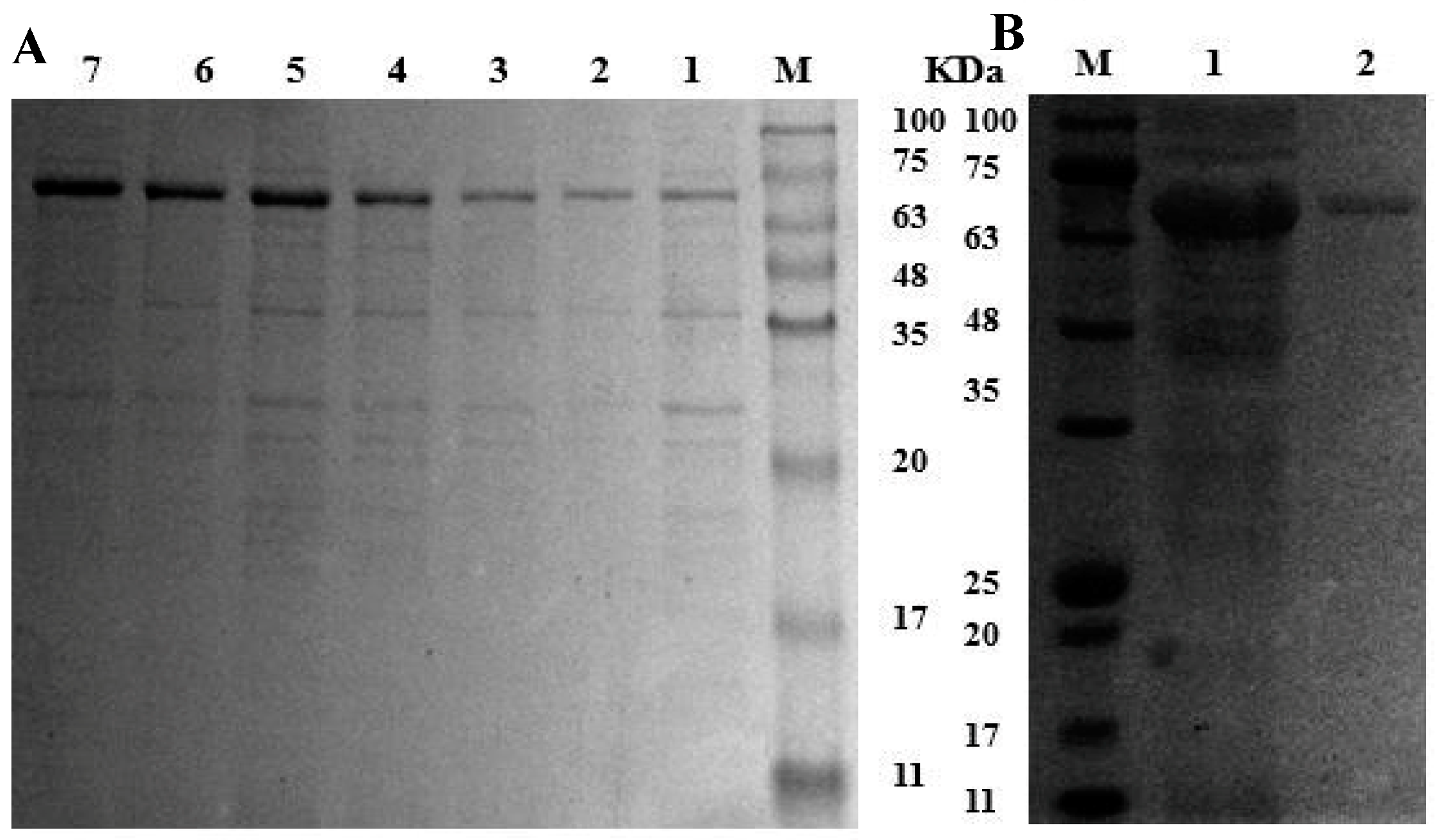 Microorganisms 11 02724 g002