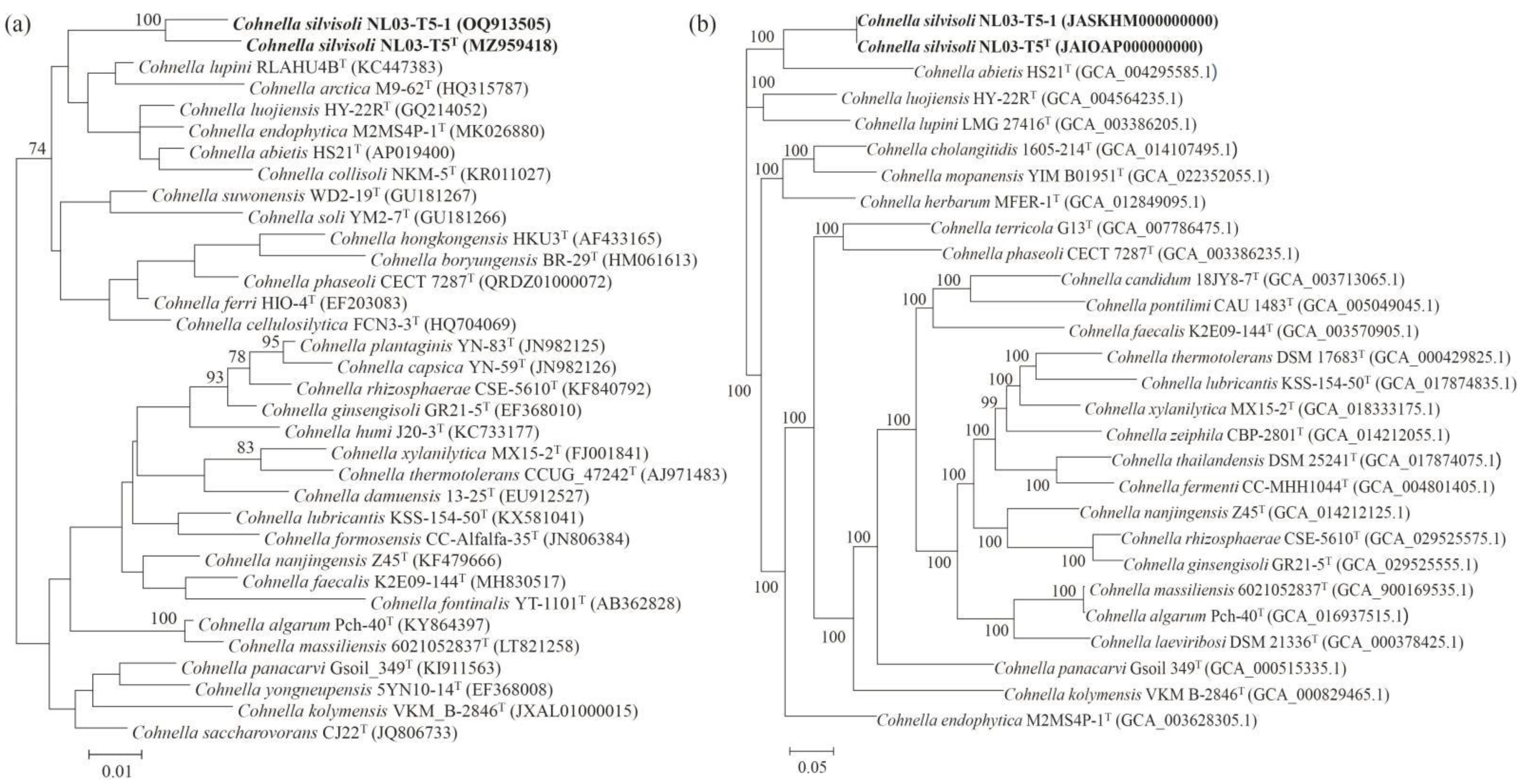 Microorganisms 11 02726 g001