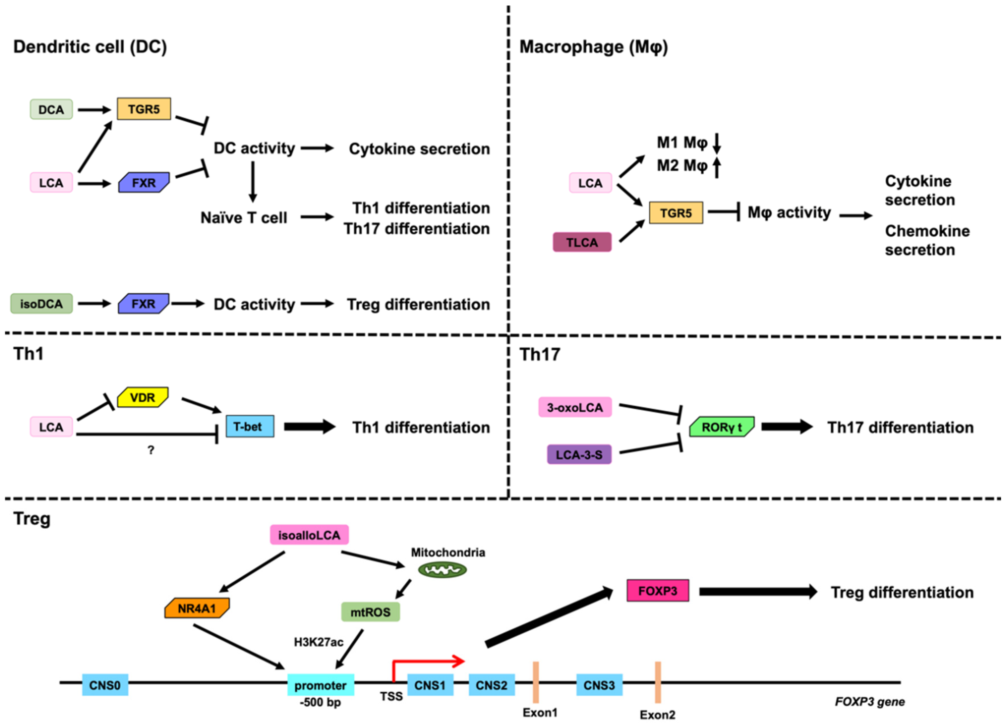 Microorganisms 11 02730 g004 Microorganisms 11 02730 g004