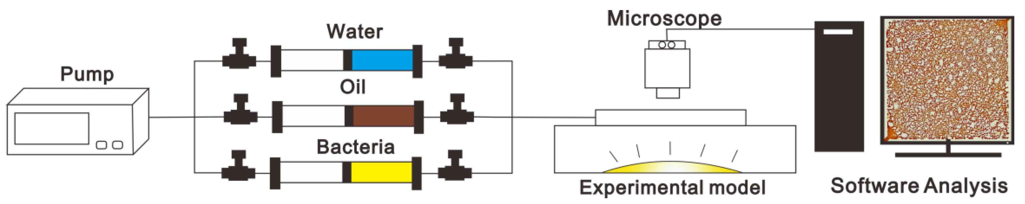 Microorganisms 11 02738 g001