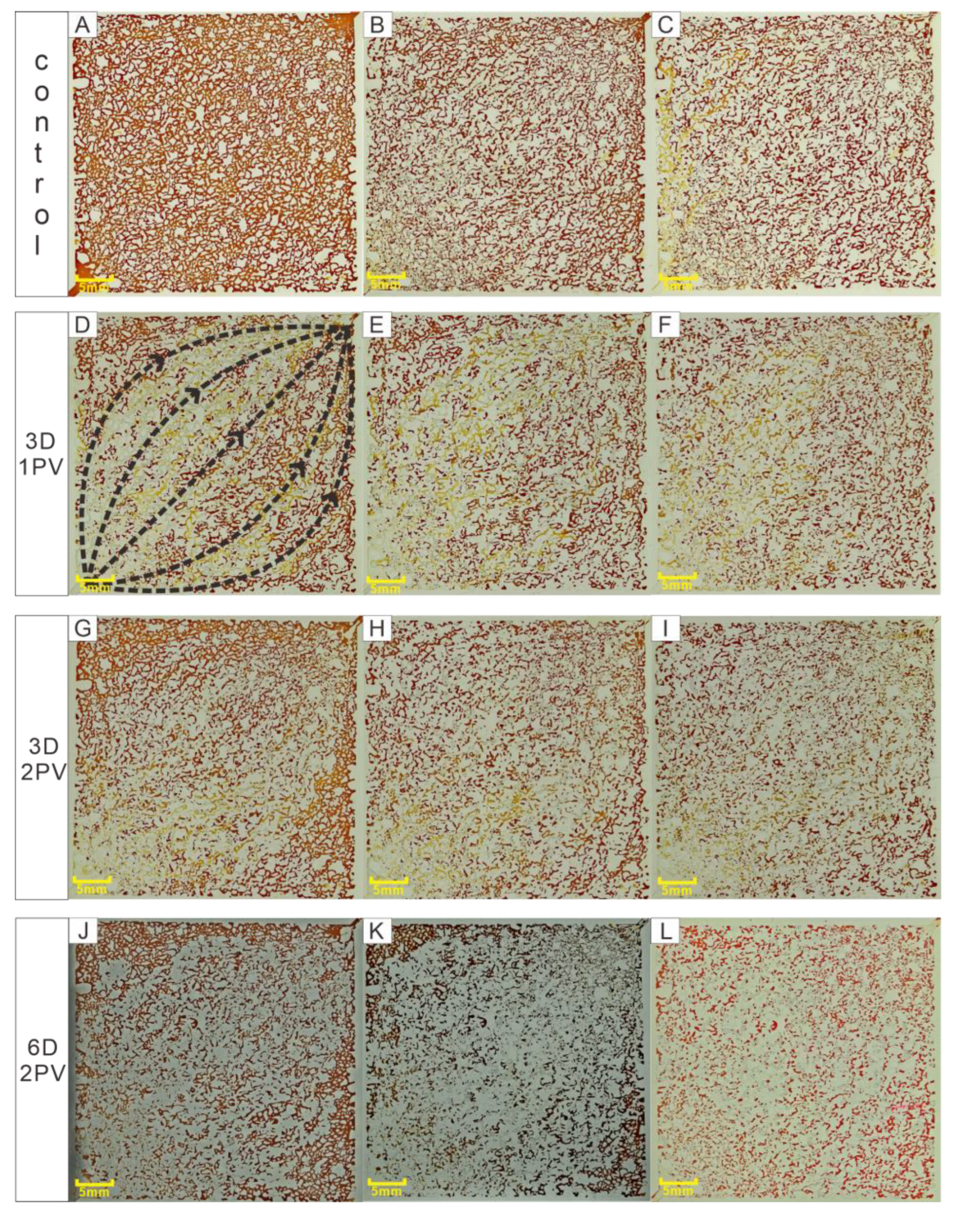 Microorganisms 11 02738 g003