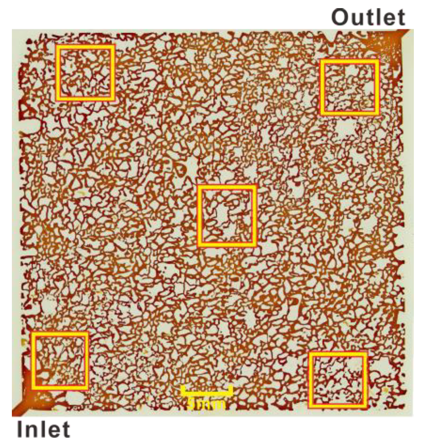 Microorganisms 11 02738 g004