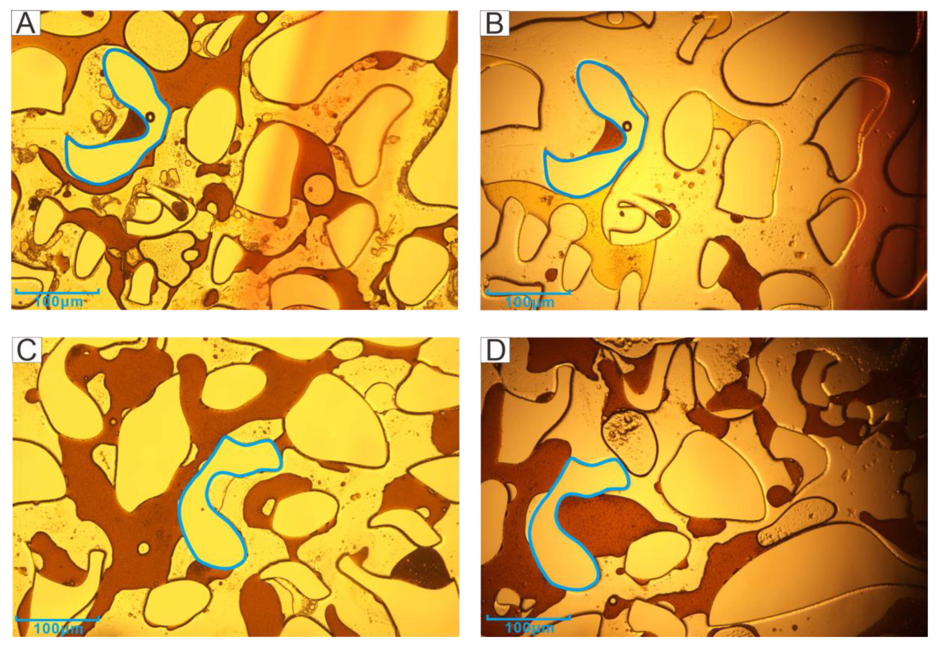 Microorganisms 11 02738 g005