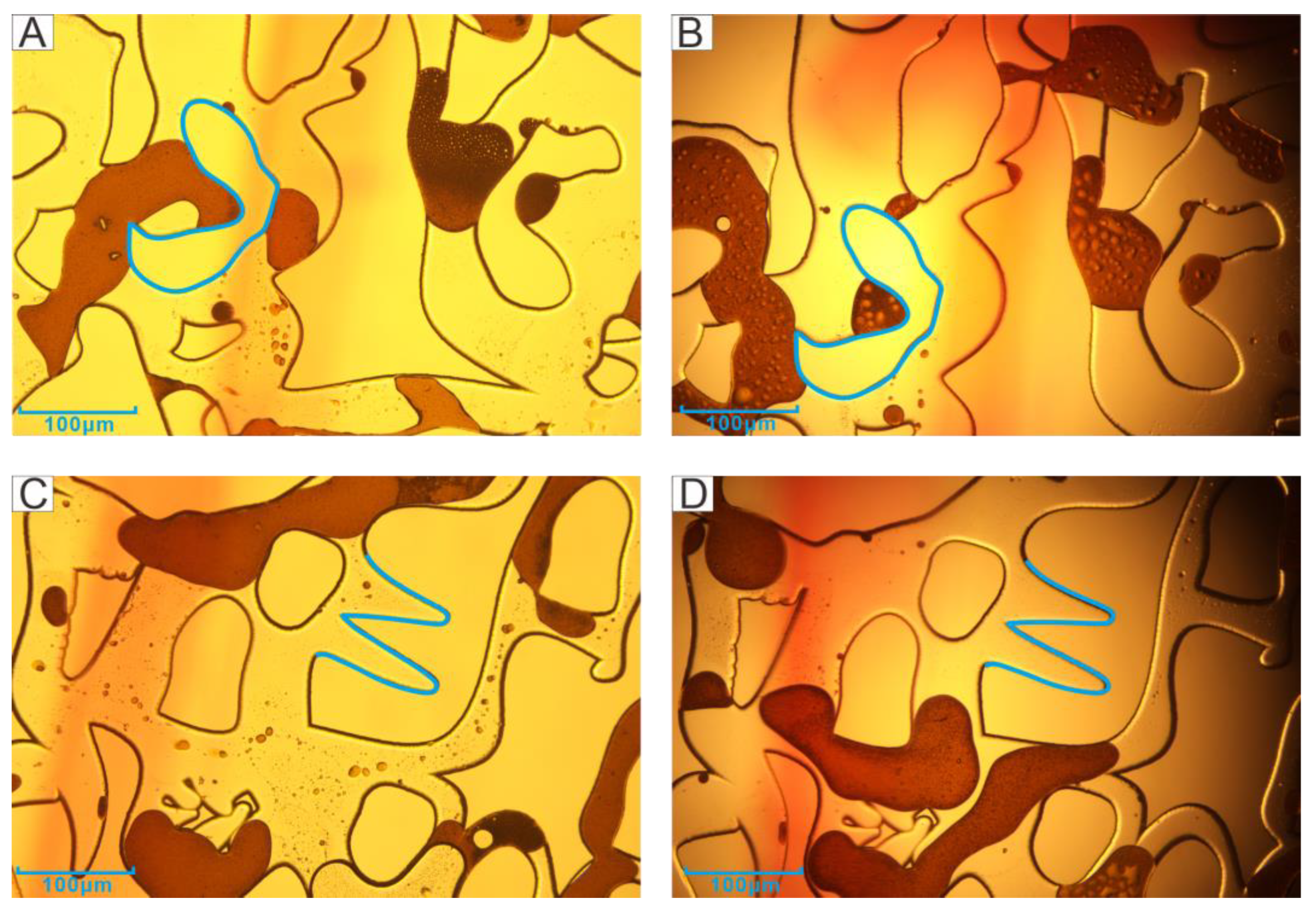 Microorganisms 11 02738 g006