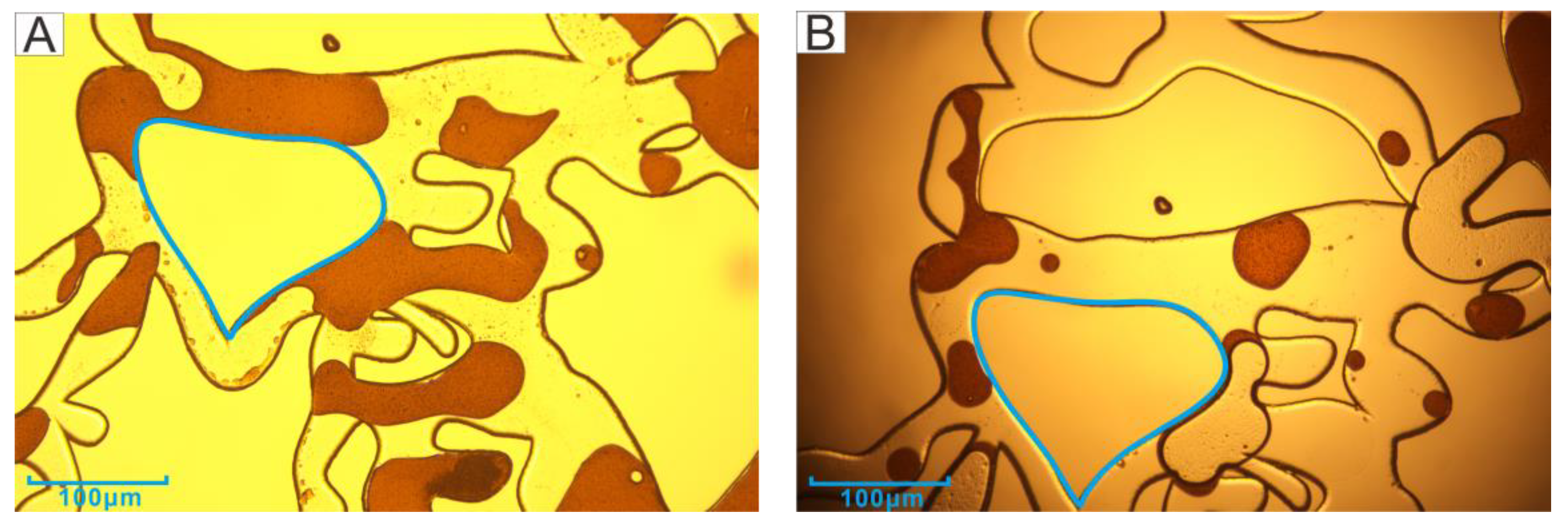 Microorganisms 11 02738 g007