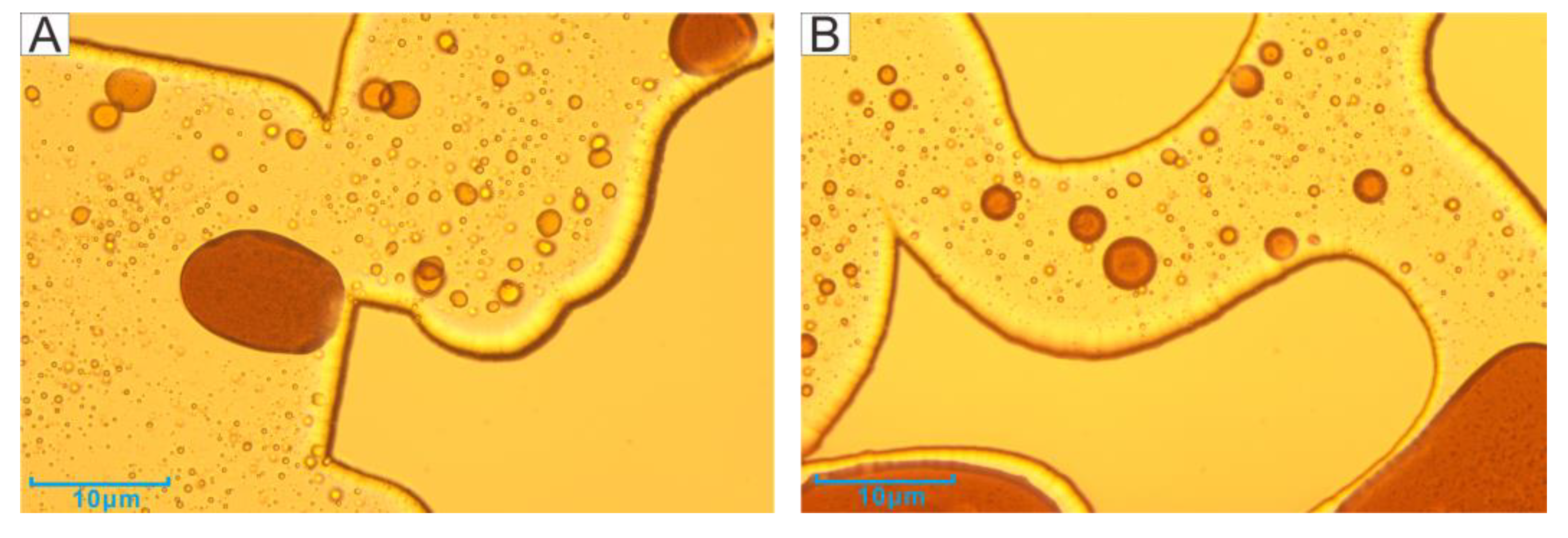 Microorganisms 11 02738 g012