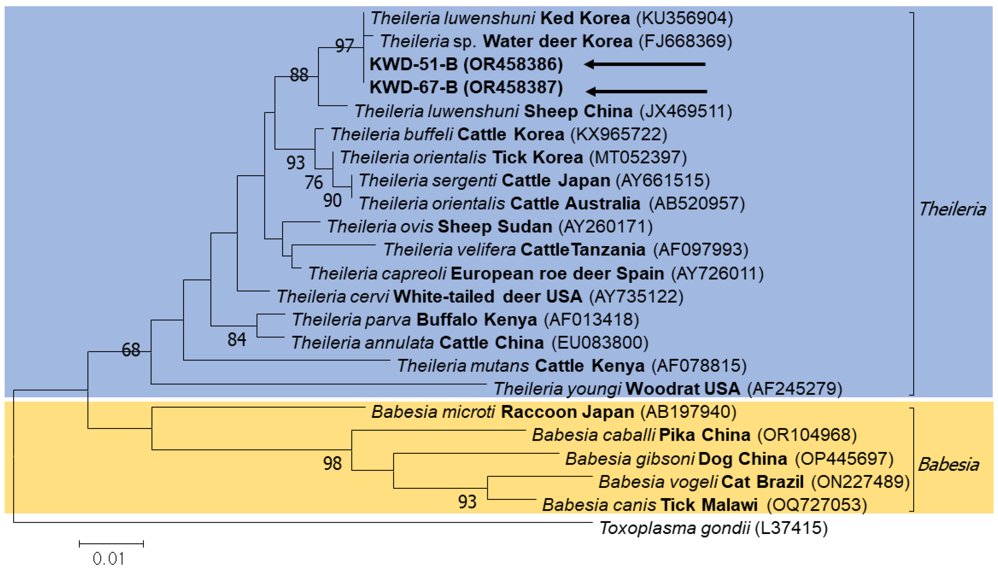 Microorganisms 11 02740 g002