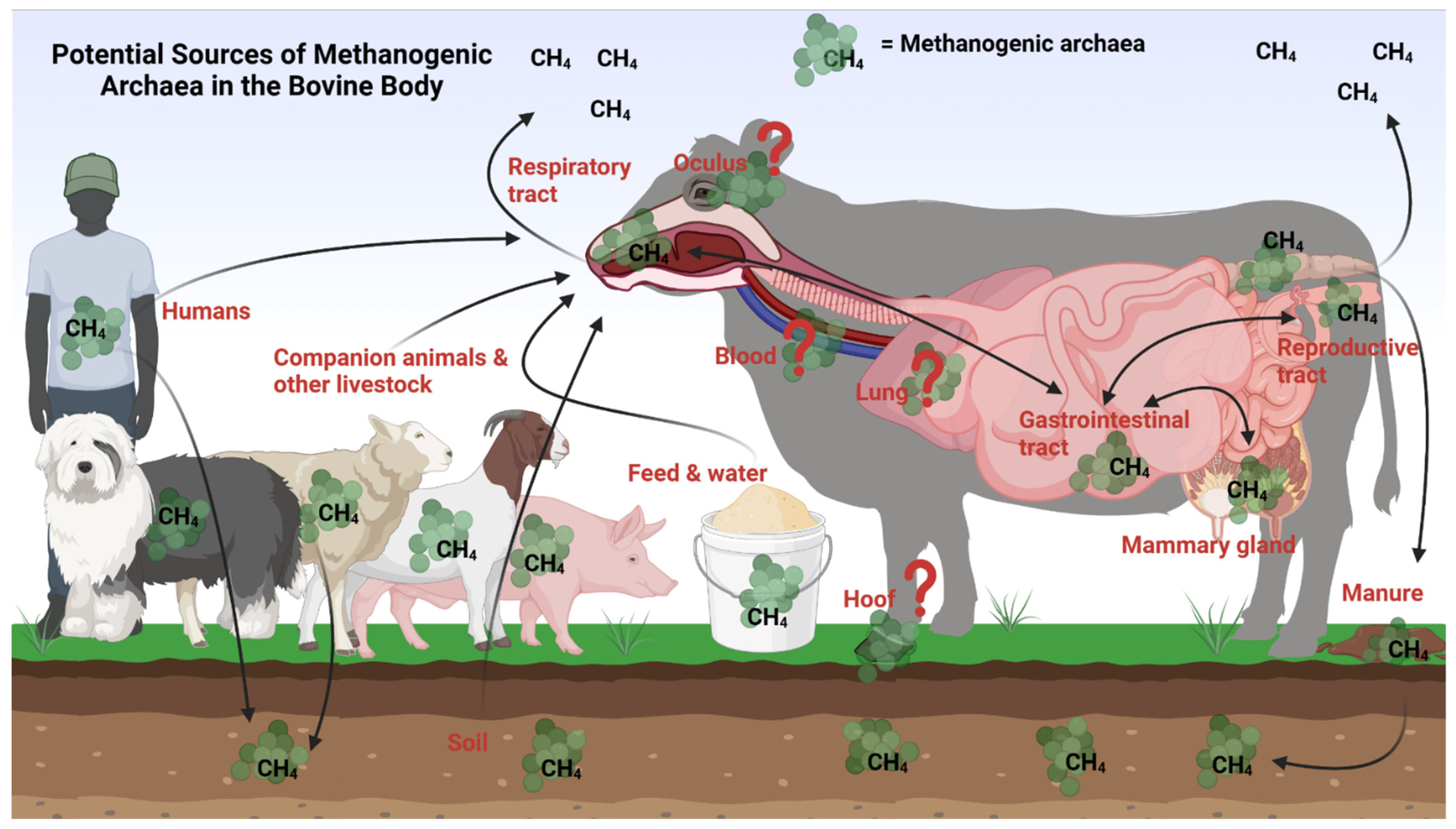Microorganisms 11 02746 g002