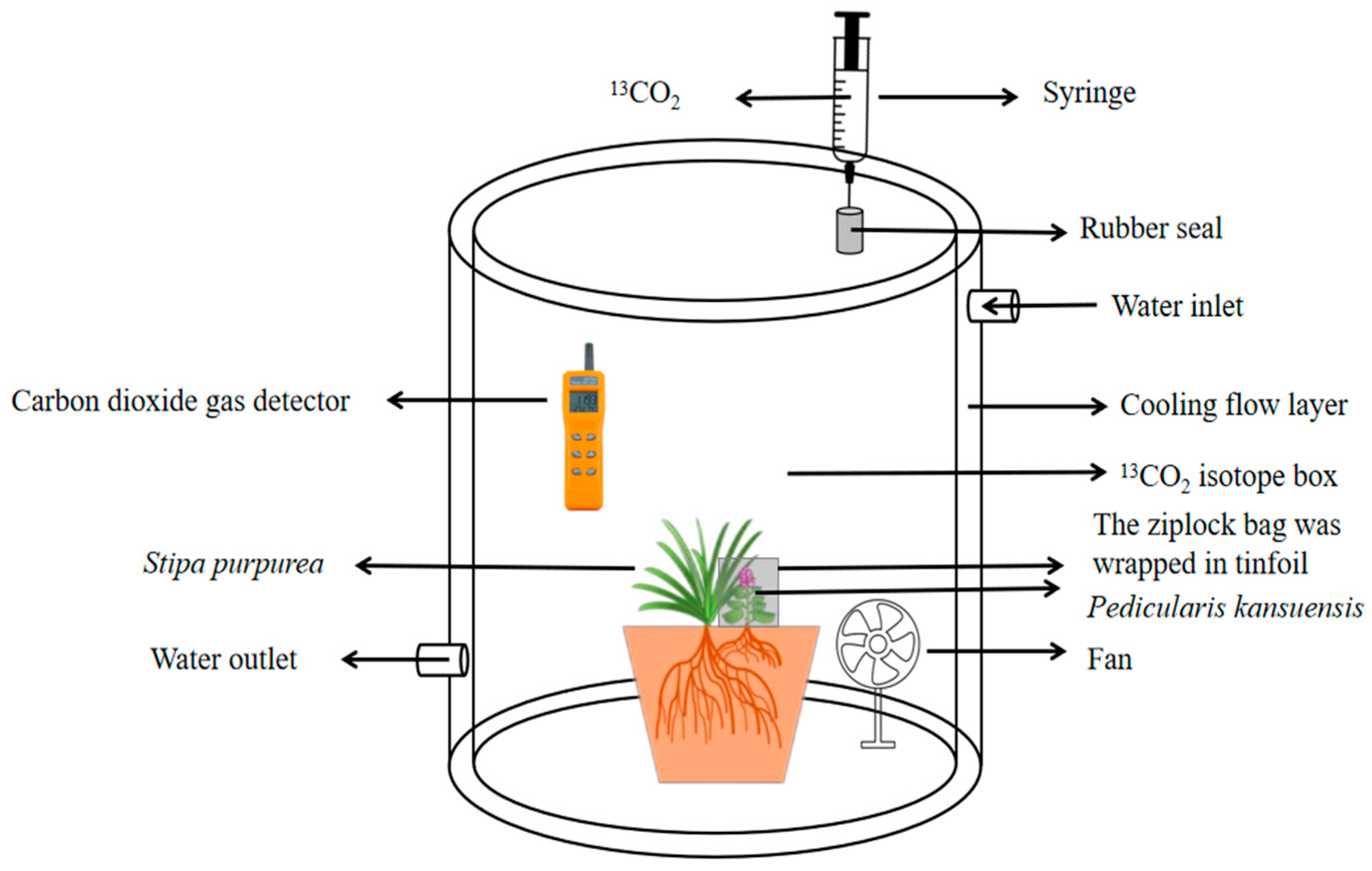 Microorganisms 11 02761 g002