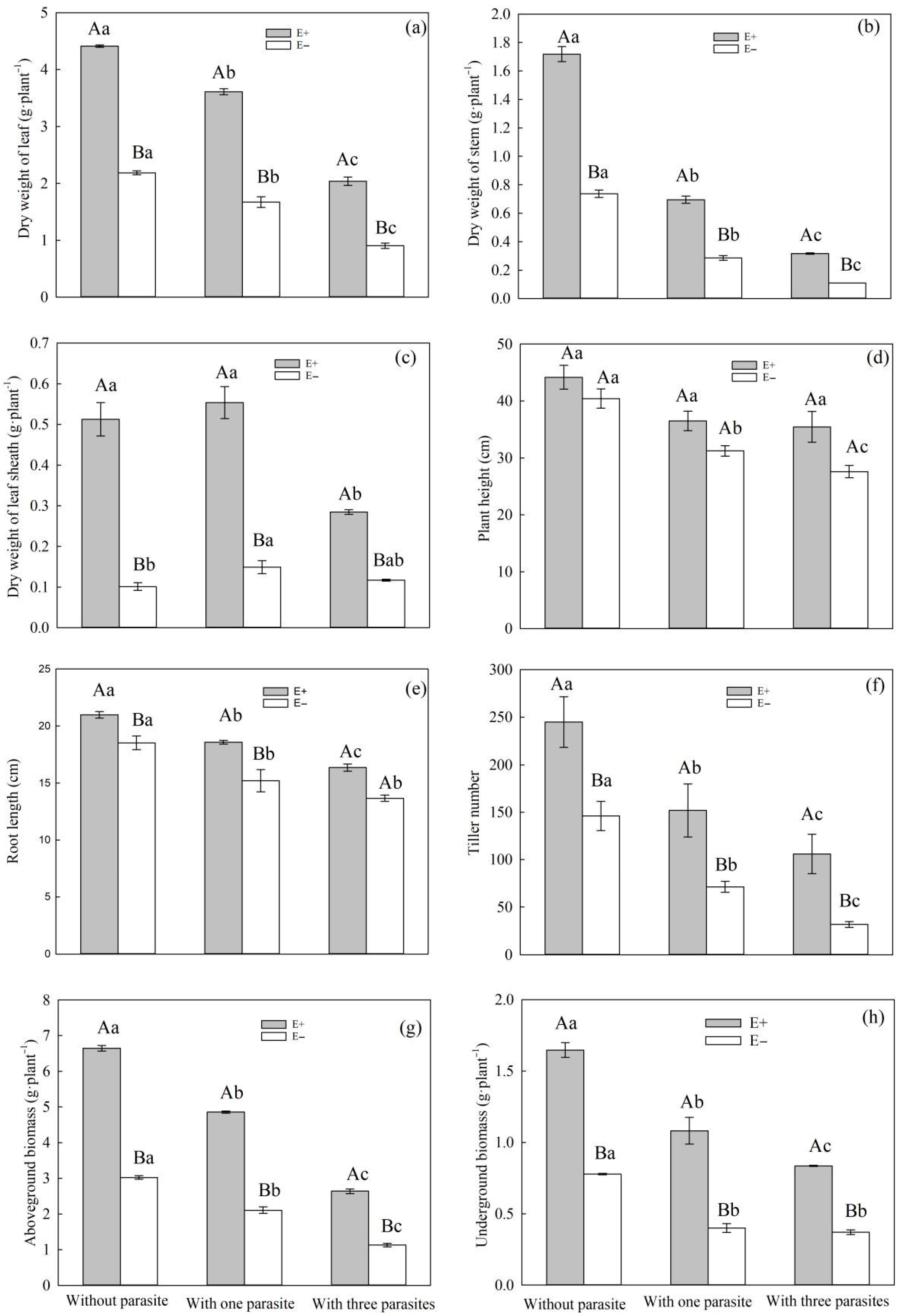 Microorganisms 11 02761 g003