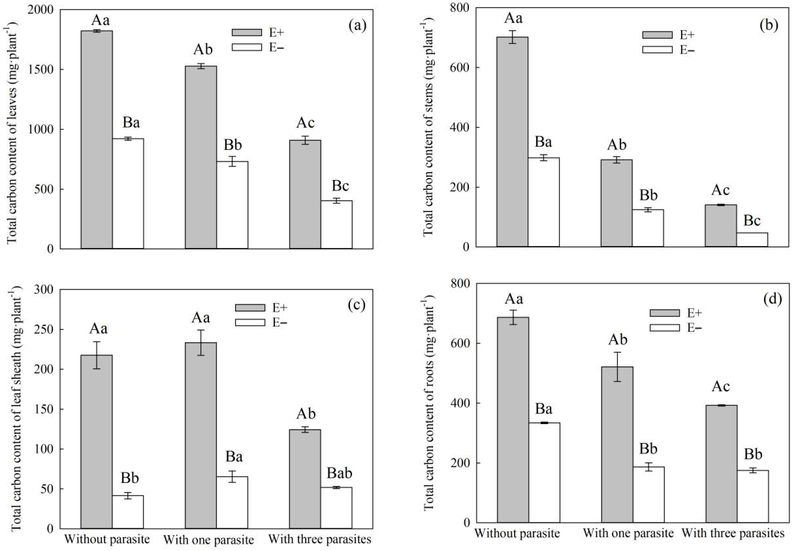 Microorganisms 11 02761 g006