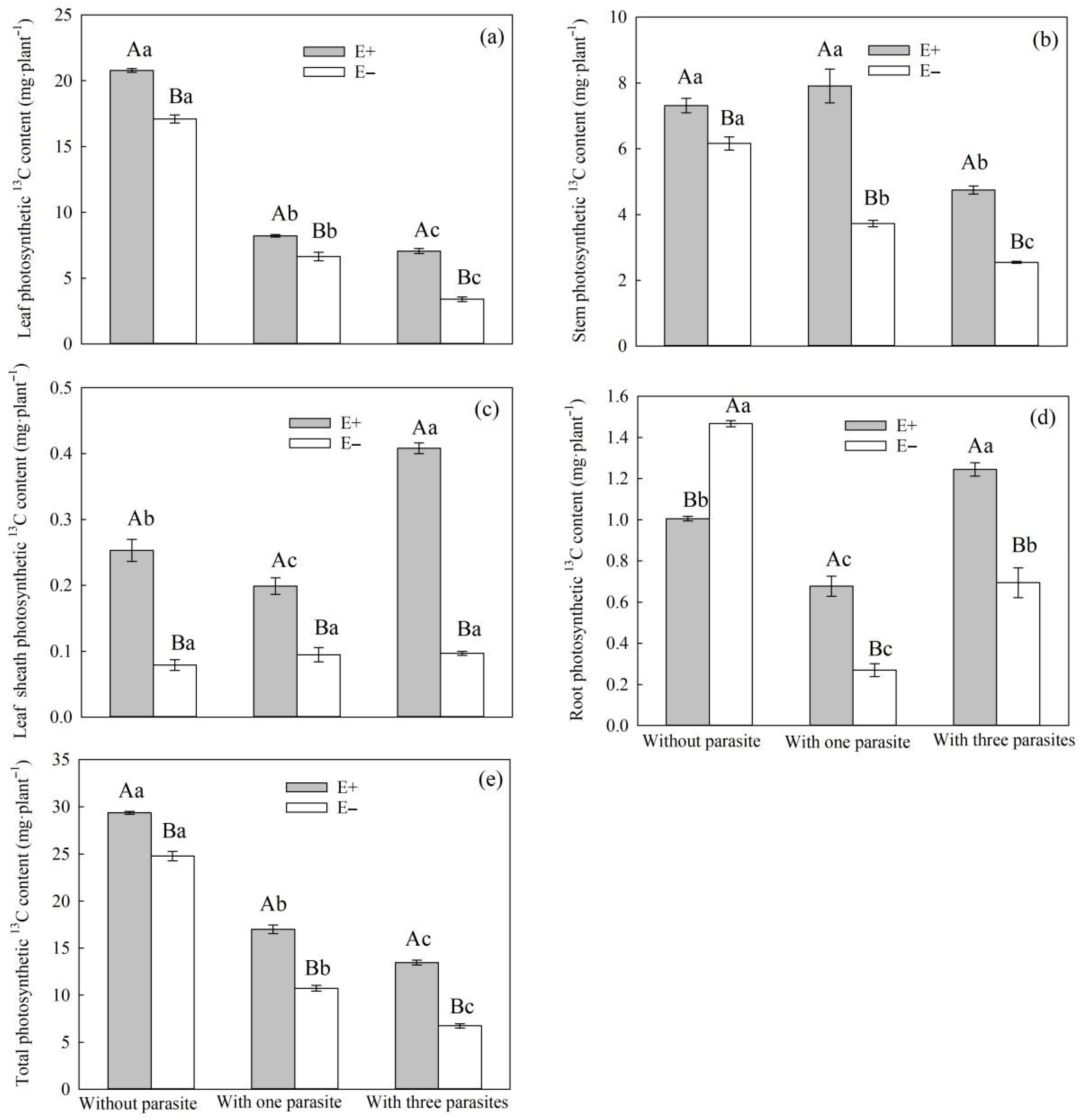 Microorganisms 11 02761 g008