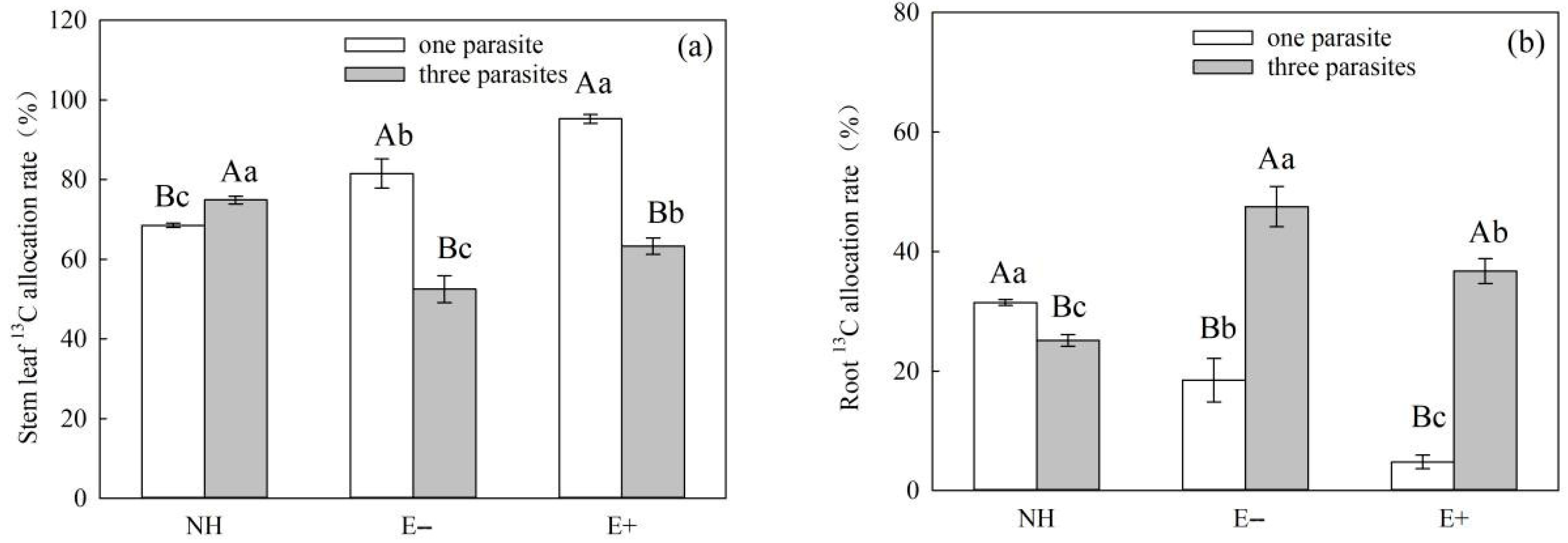 Microorganisms 11 02761 g011