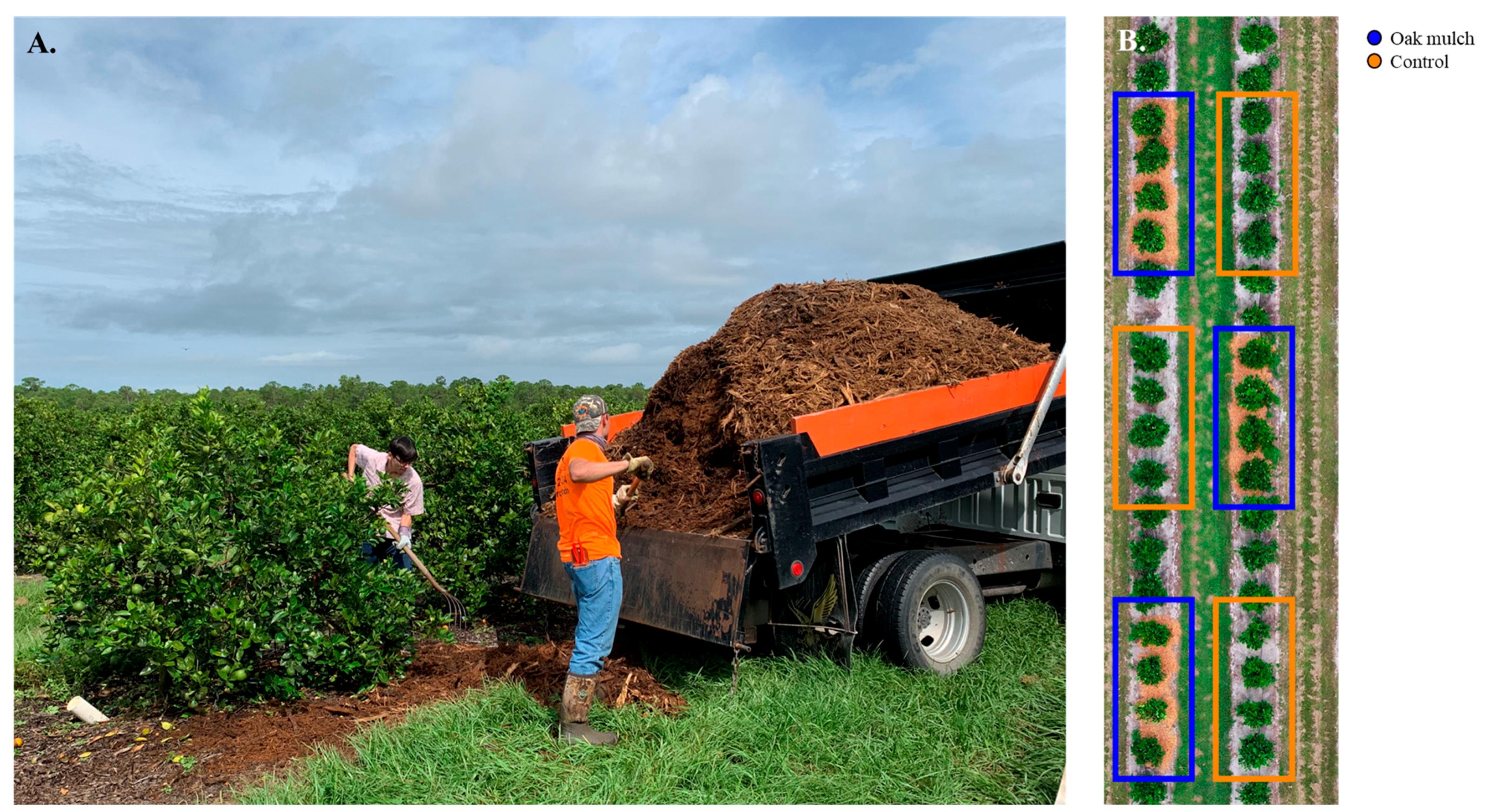 Microorganisms 11 02764 g001