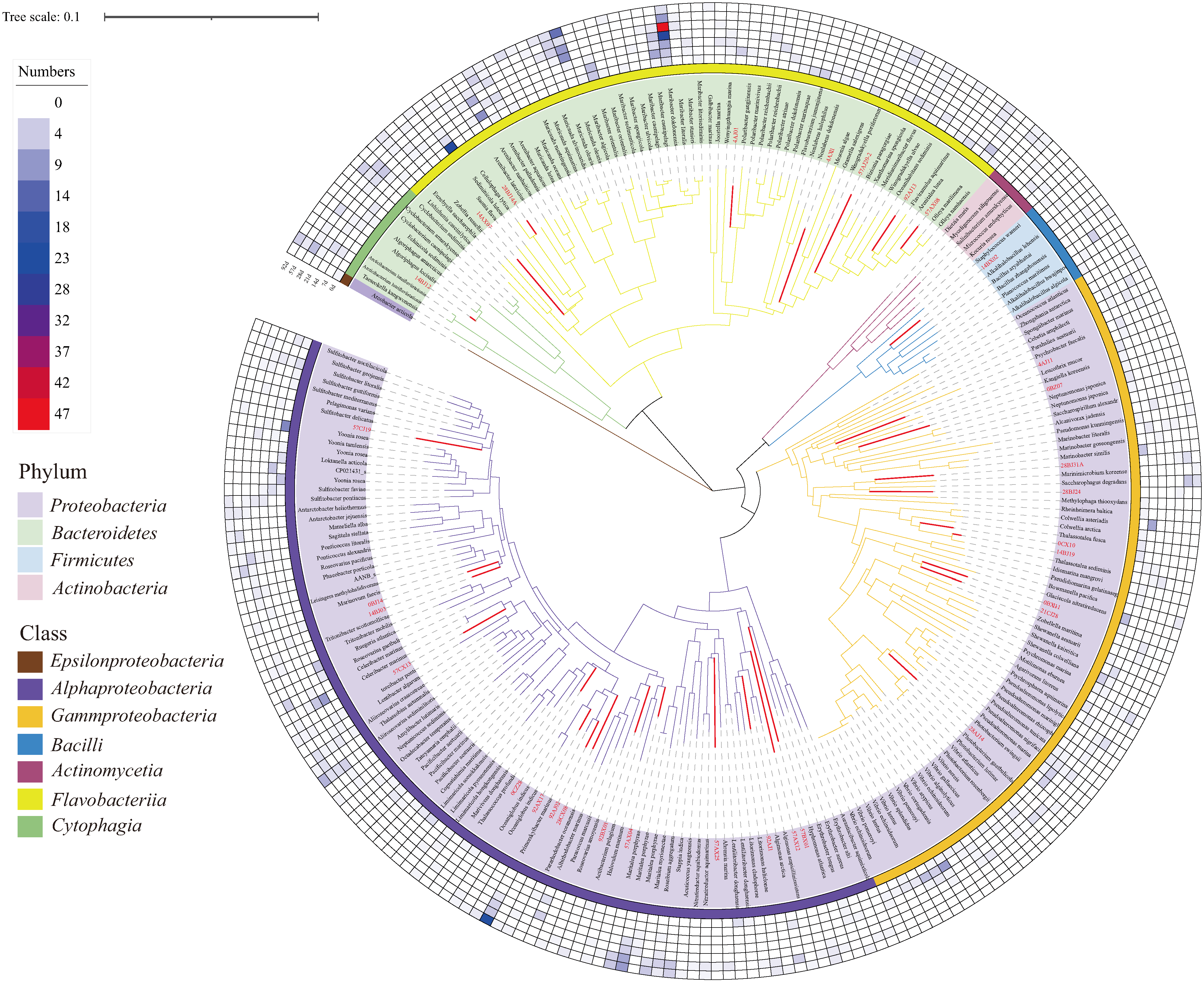 Microorganisms 11 02771 g001