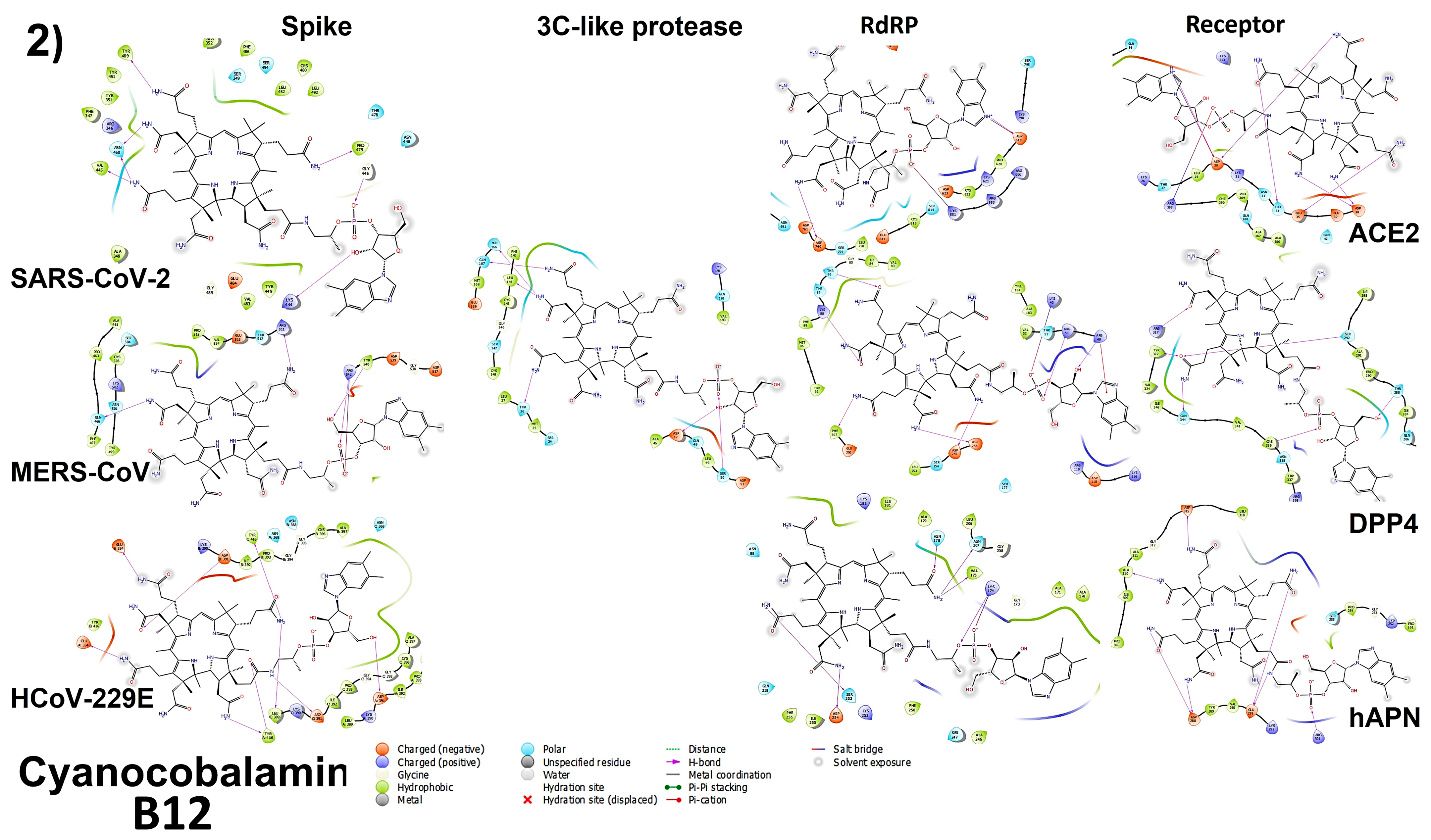 Microorganisms 11 02777 g006b