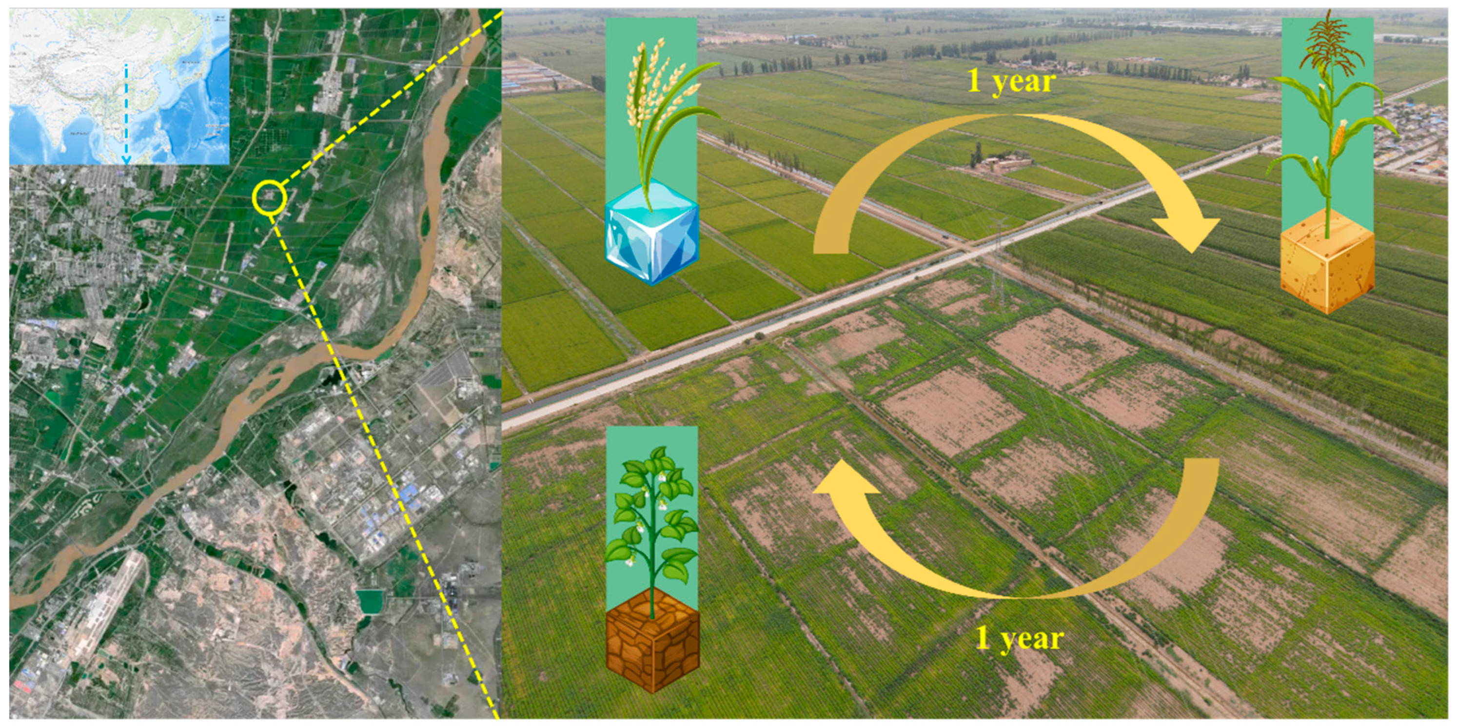 Microorganisms 11 02783 g001