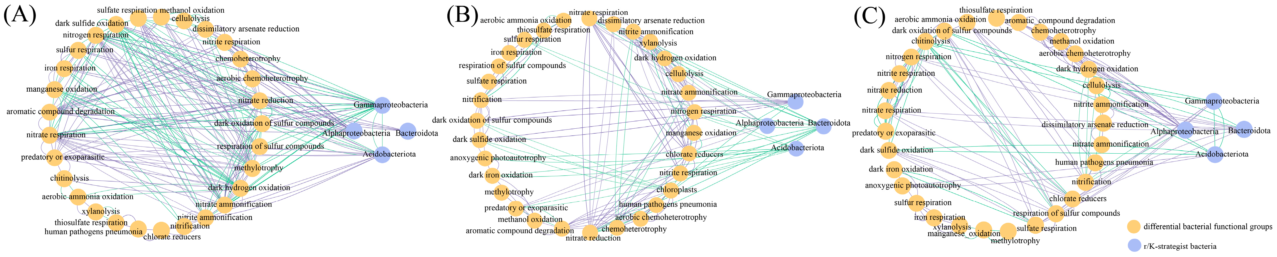 Microorganisms 11 02783 g006
