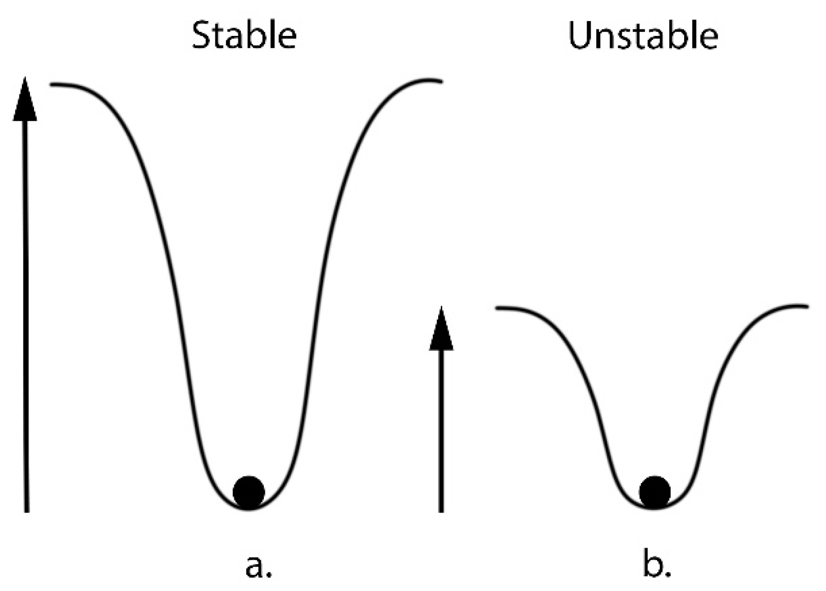 Microorganisms 11 02784 g008
