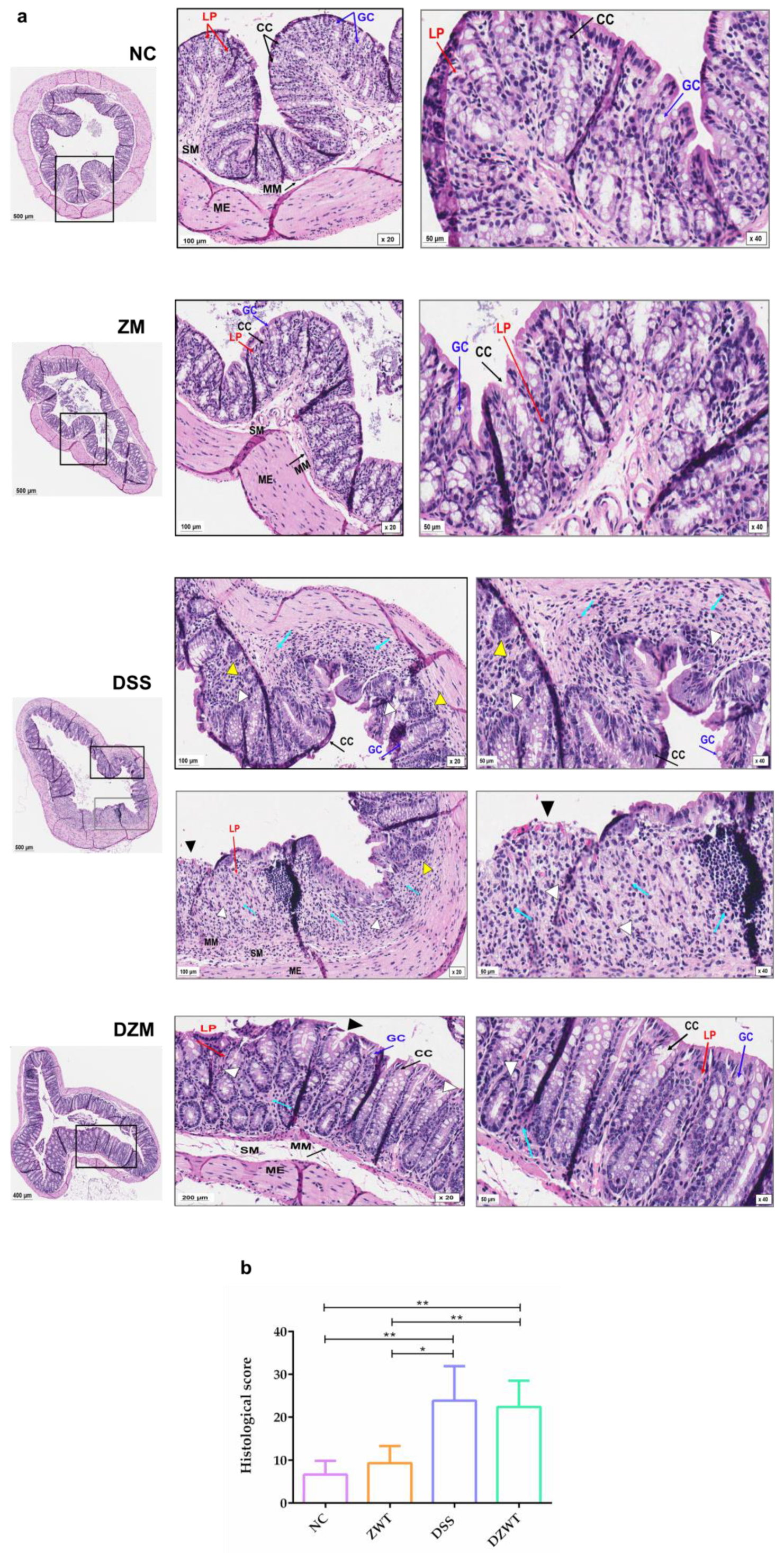 Microorganisms 11 02793 g002