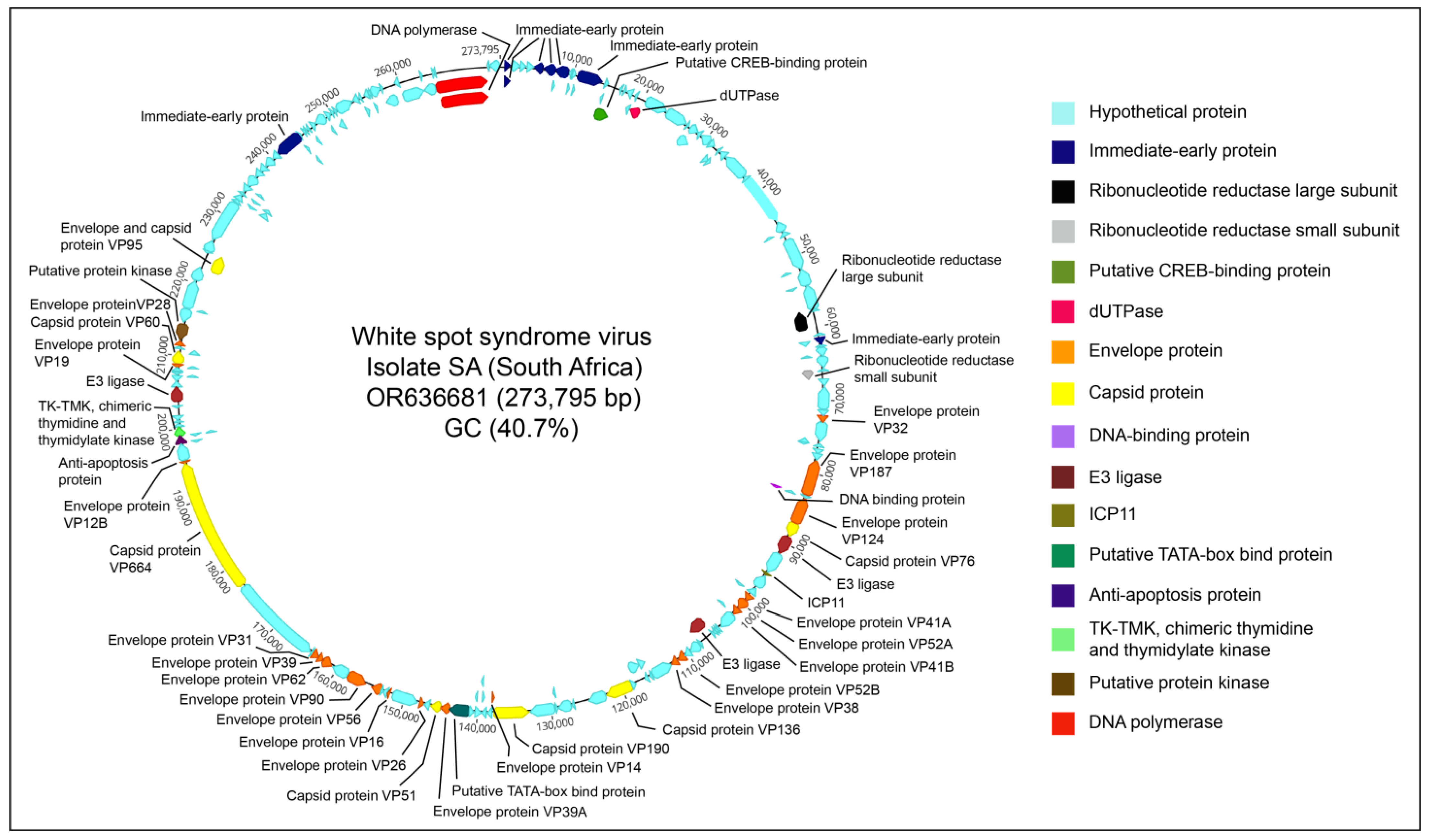 Microorganisms 11 02802 g002