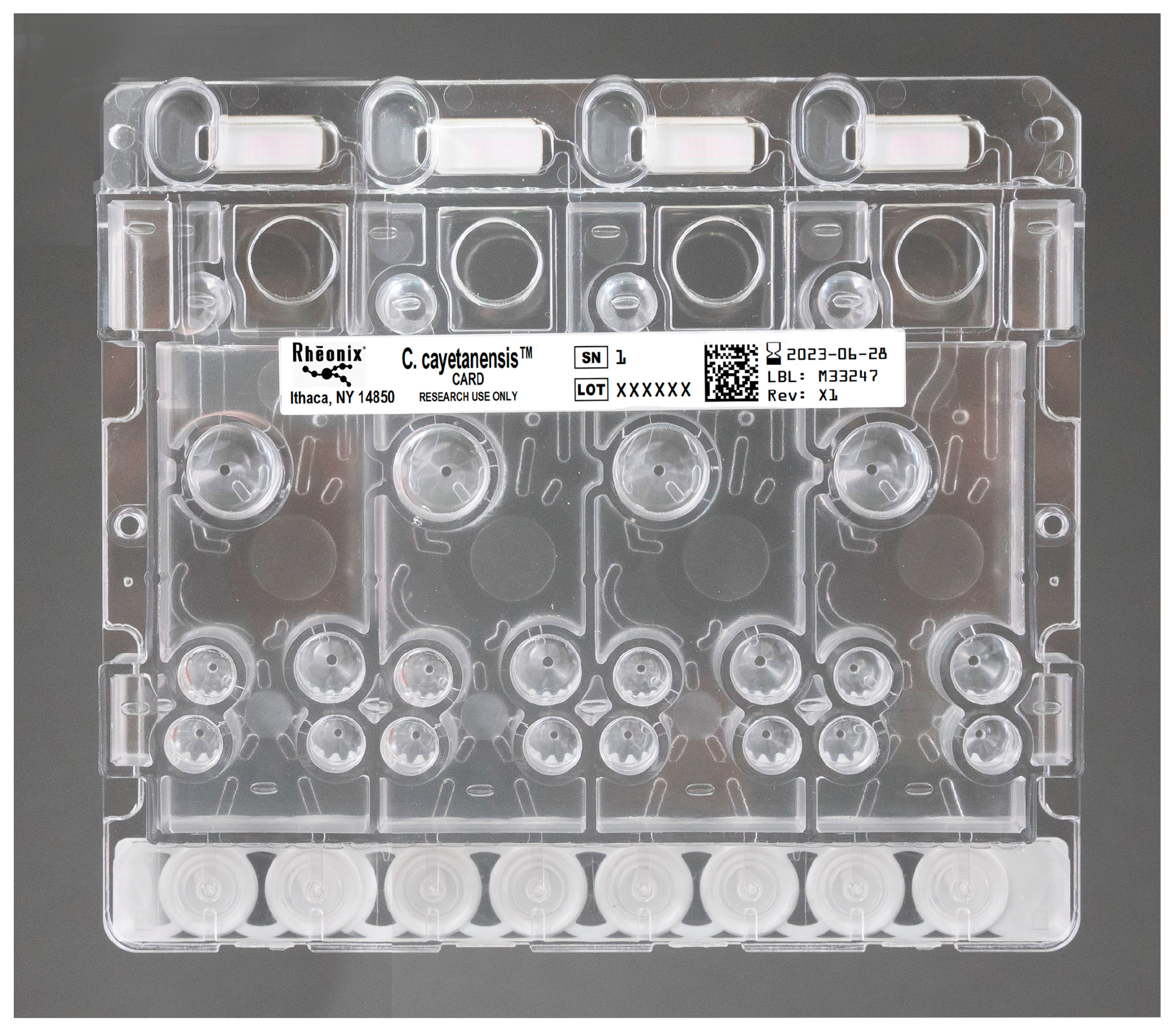 Microorganisms 11 02805 g002
