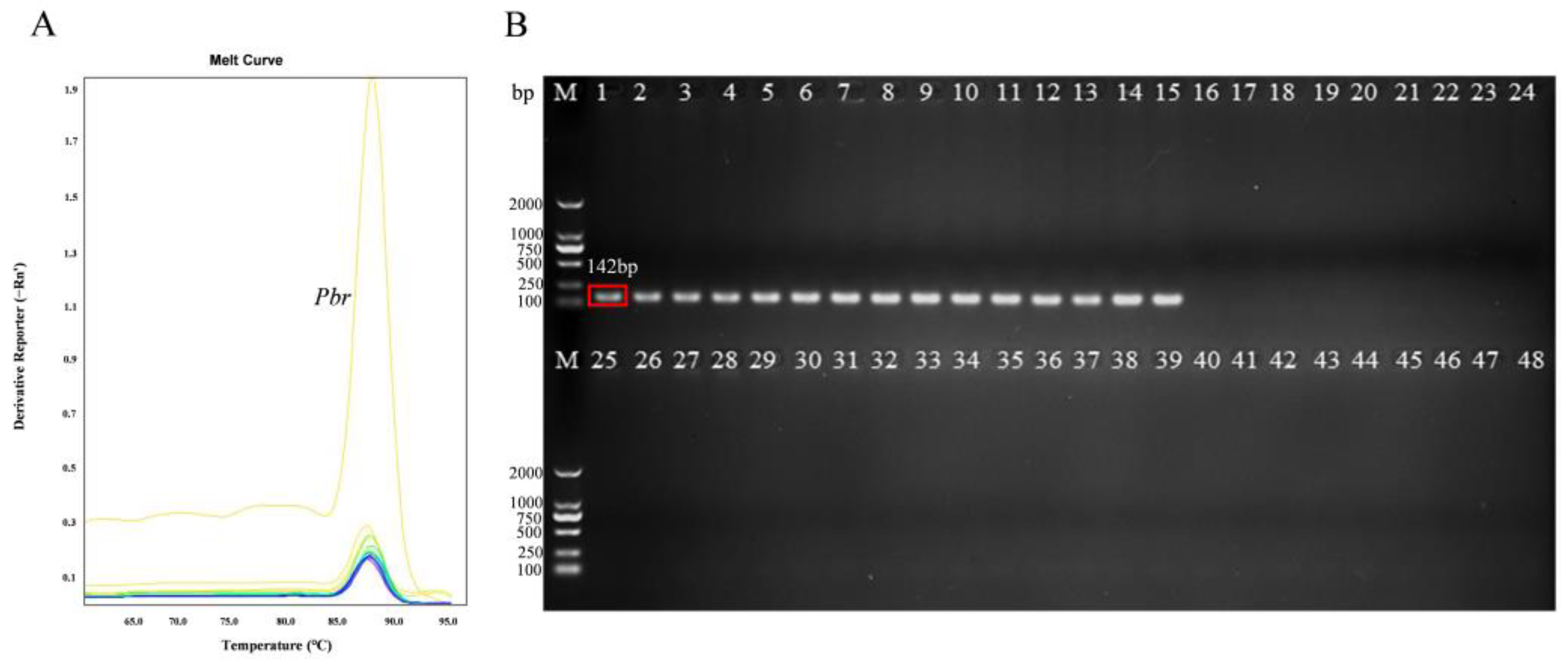 Microorganisms 11 02808 g002