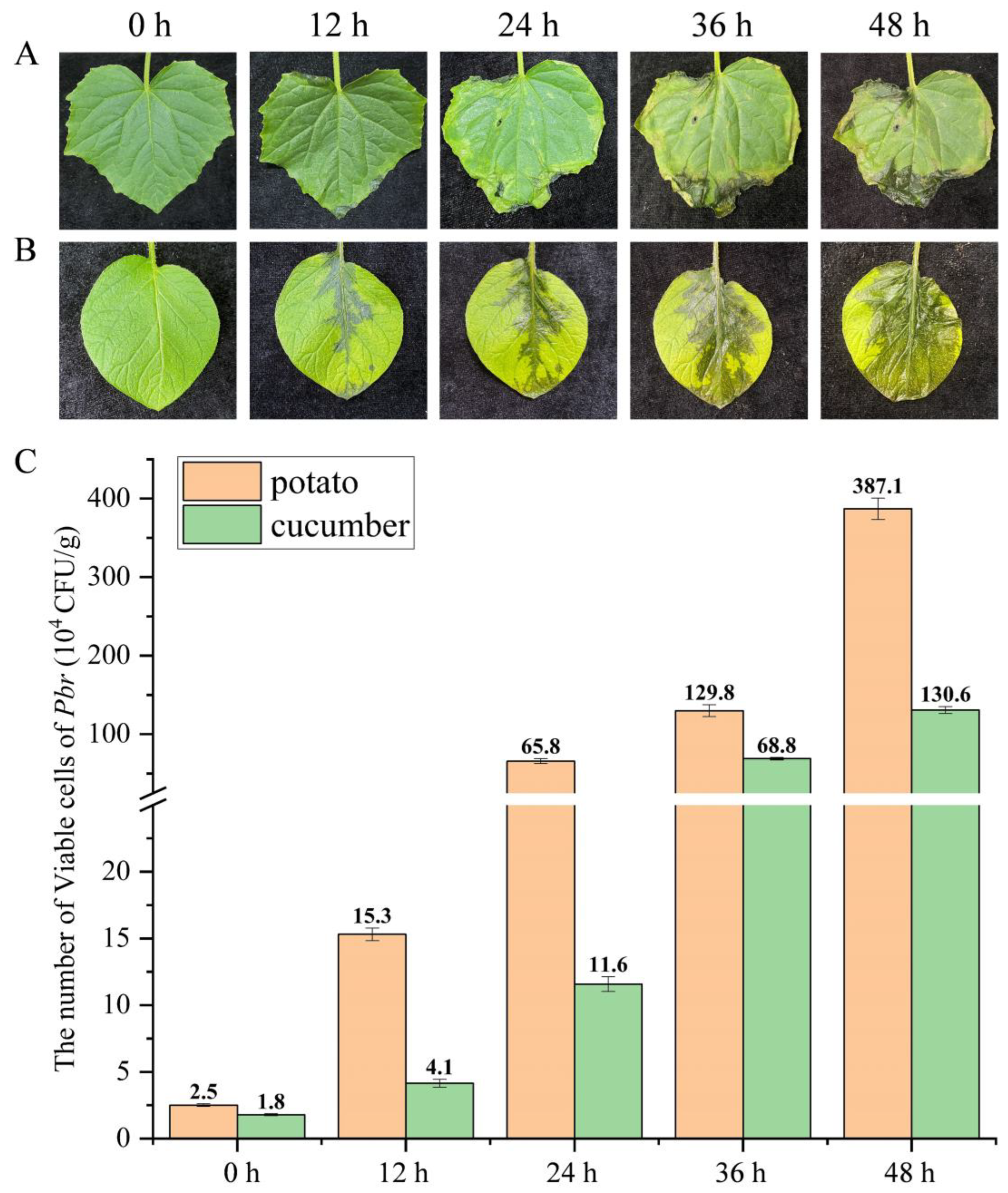 Microorganisms 11 02808 g006