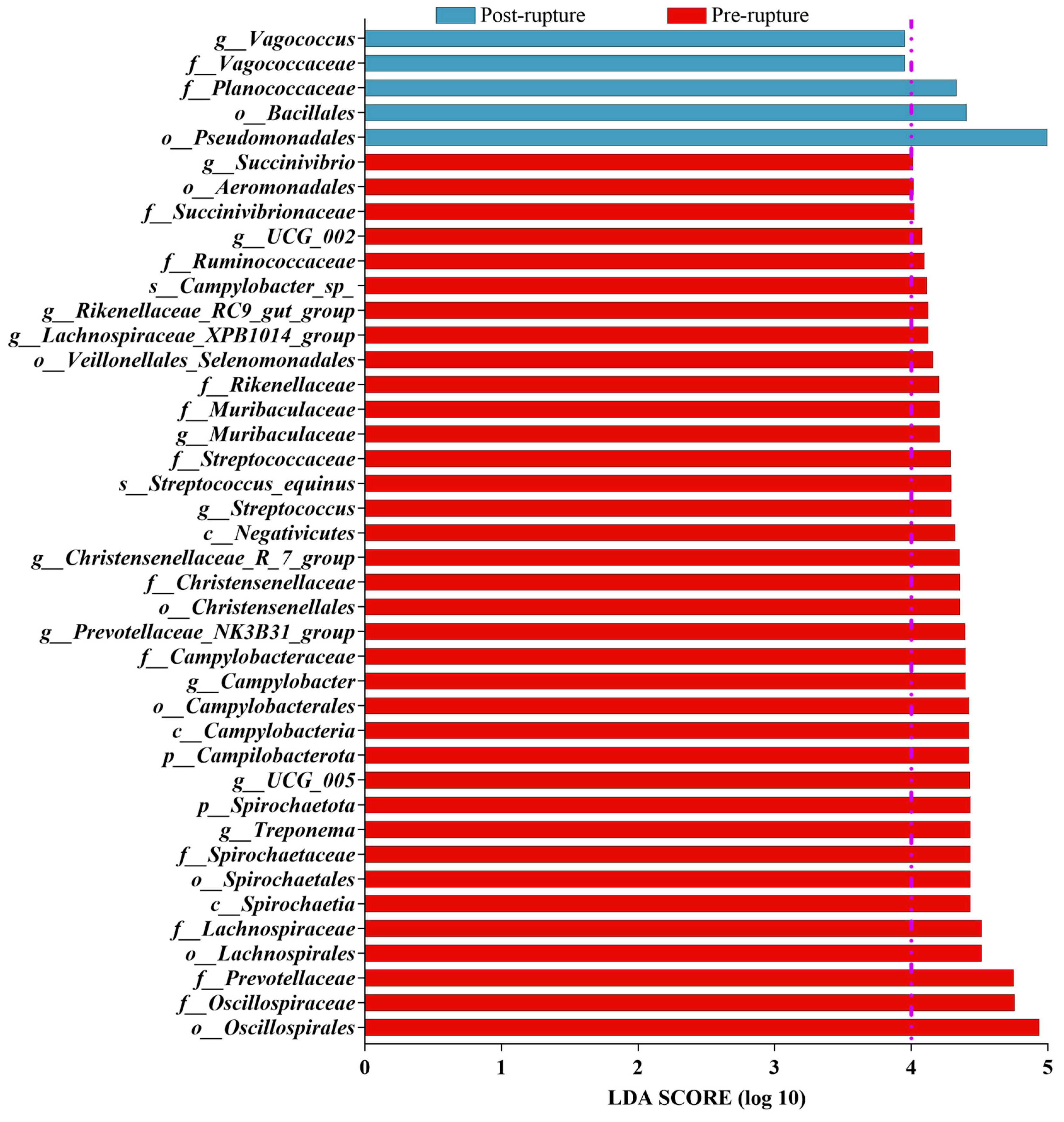 Microorganisms 11 02811 g006