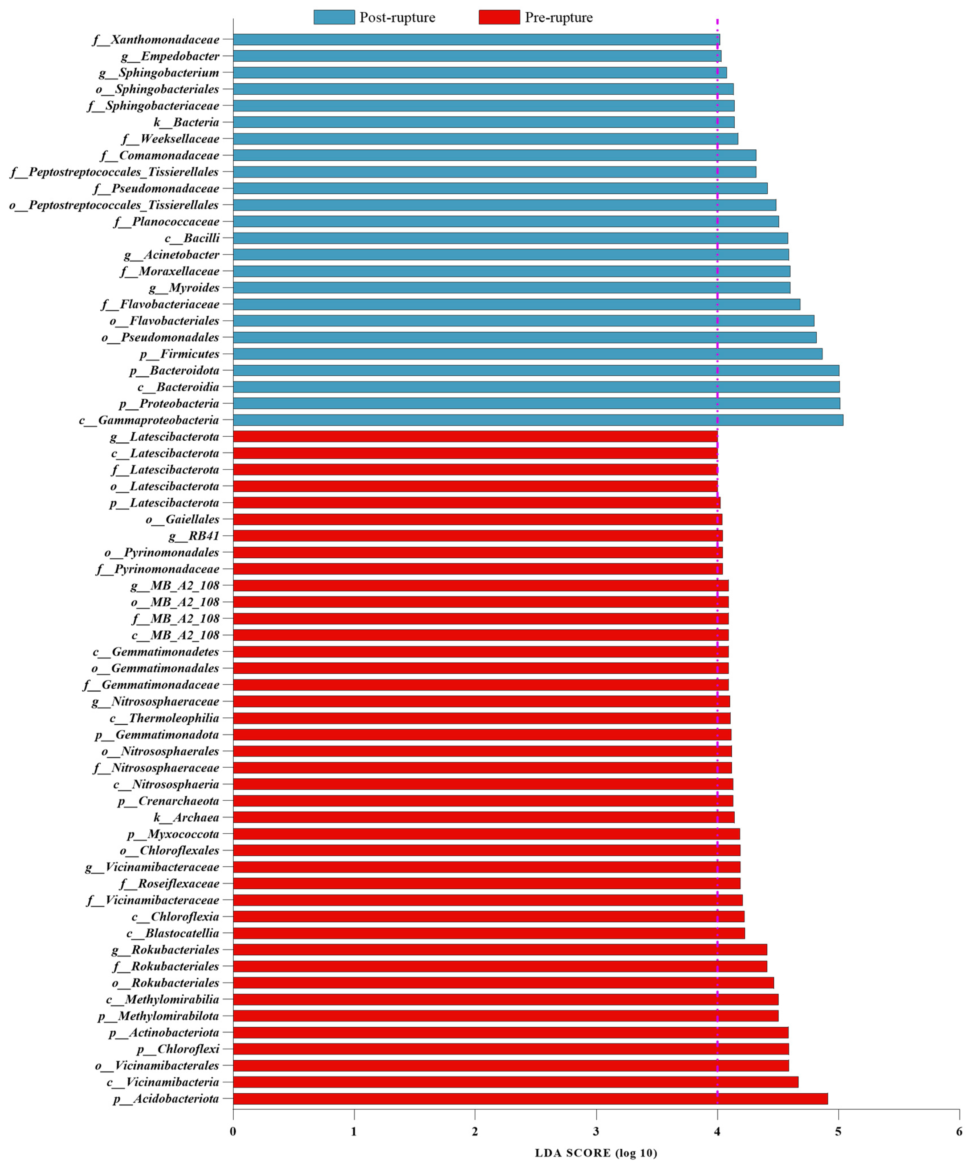 Microorganisms 11 02811 g007